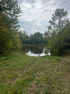 View from your campsite