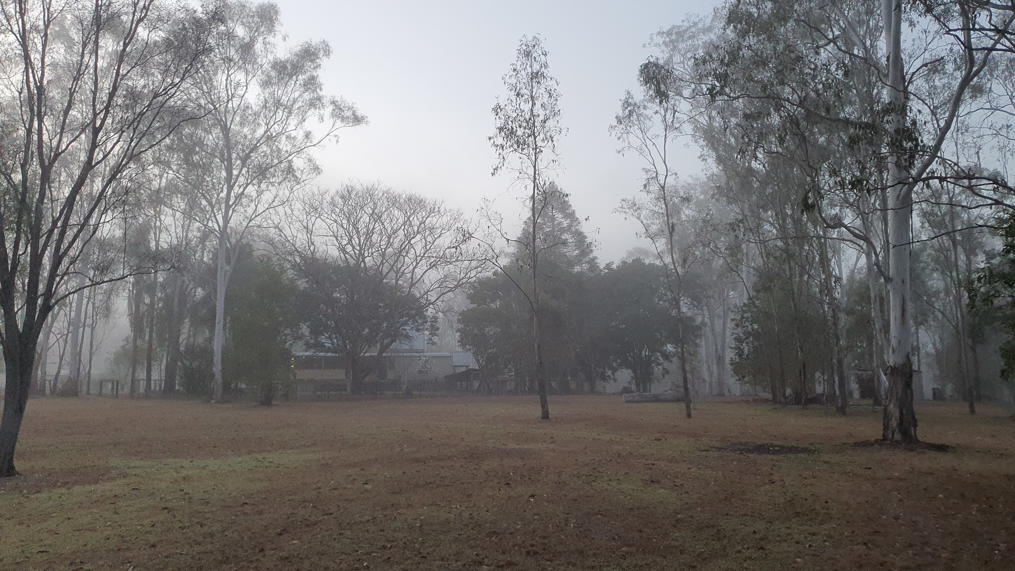 Chestnut Farm