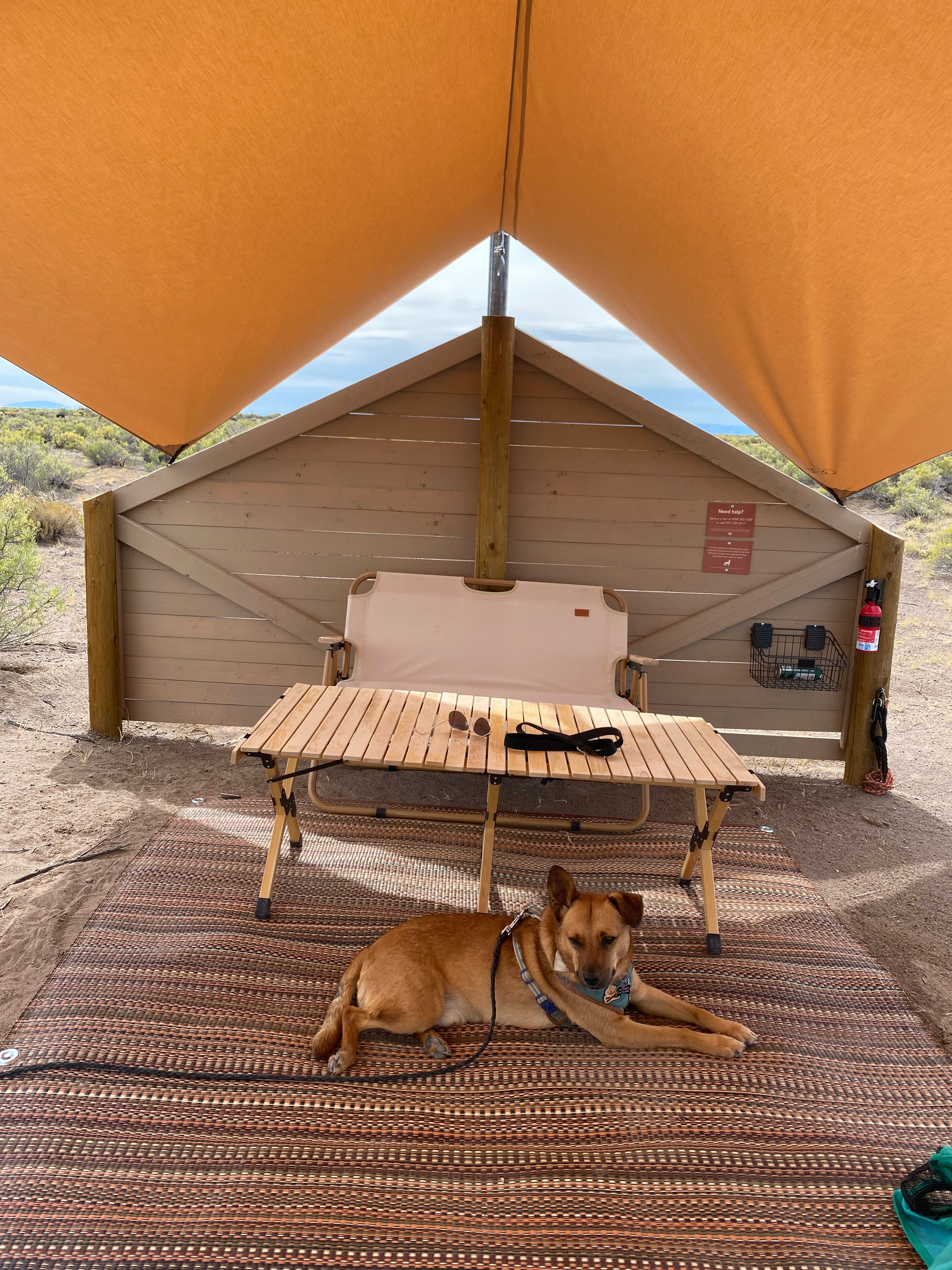 Ramble at Great Sand Dunes NP