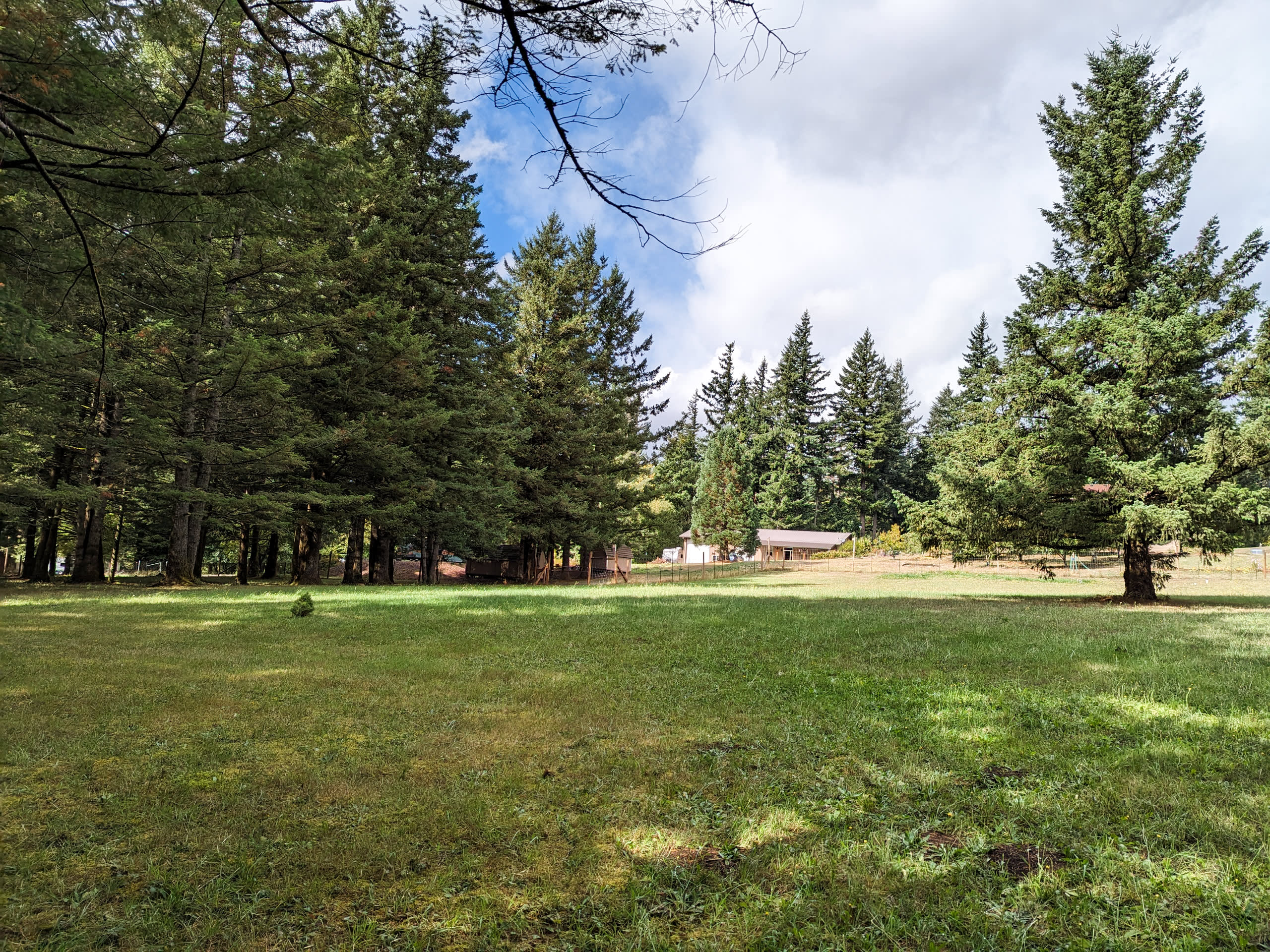 The Hummingbird Homestead