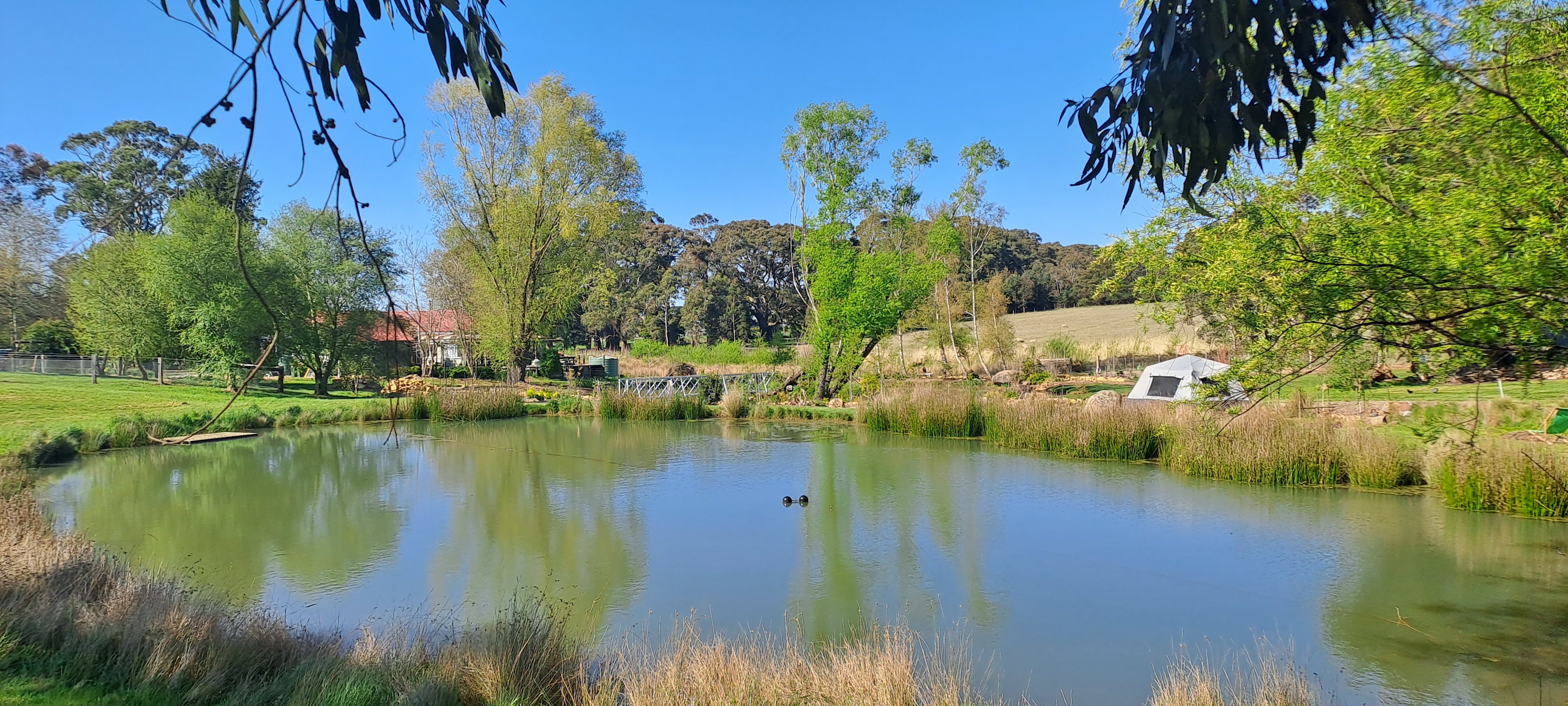 Lakeside or Orchard Paddock Camping