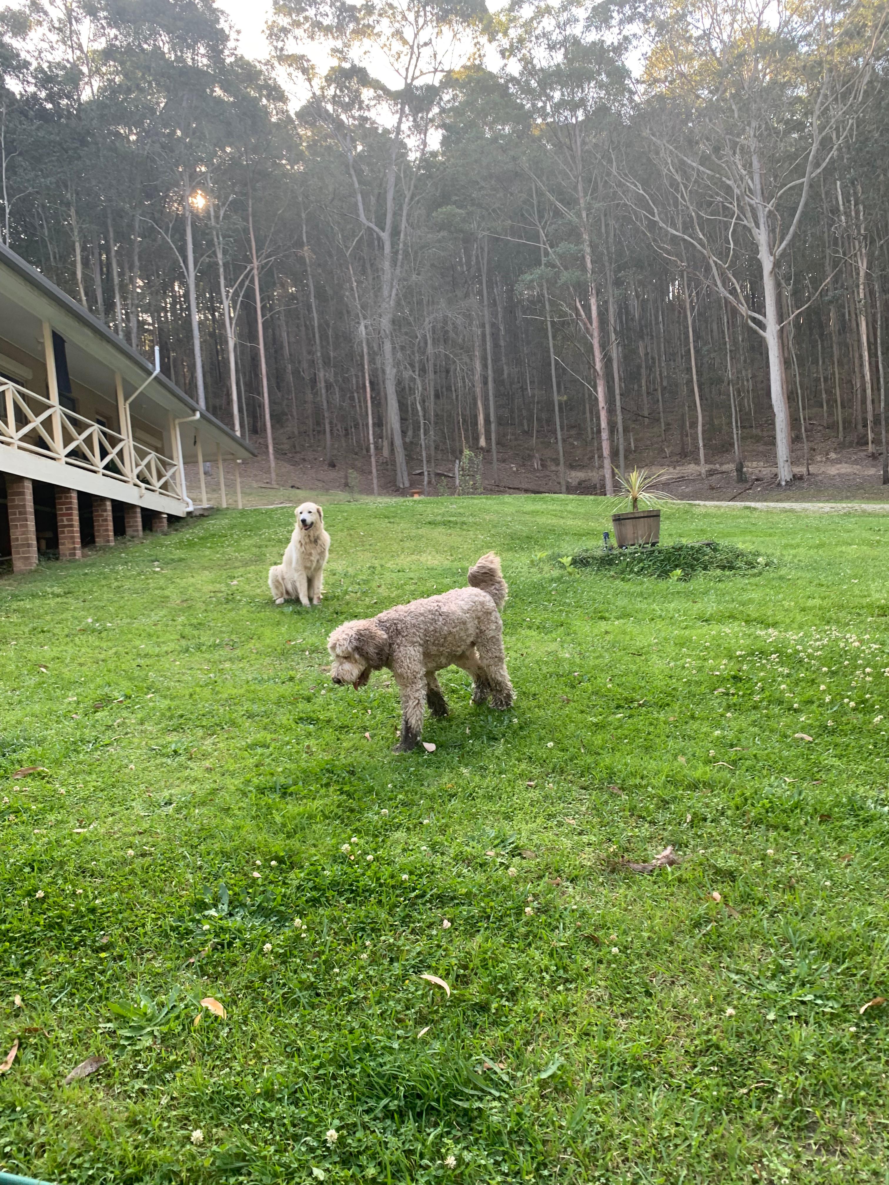 Boris the site manager welcoming Theo 