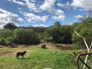 Running Creek Retreat