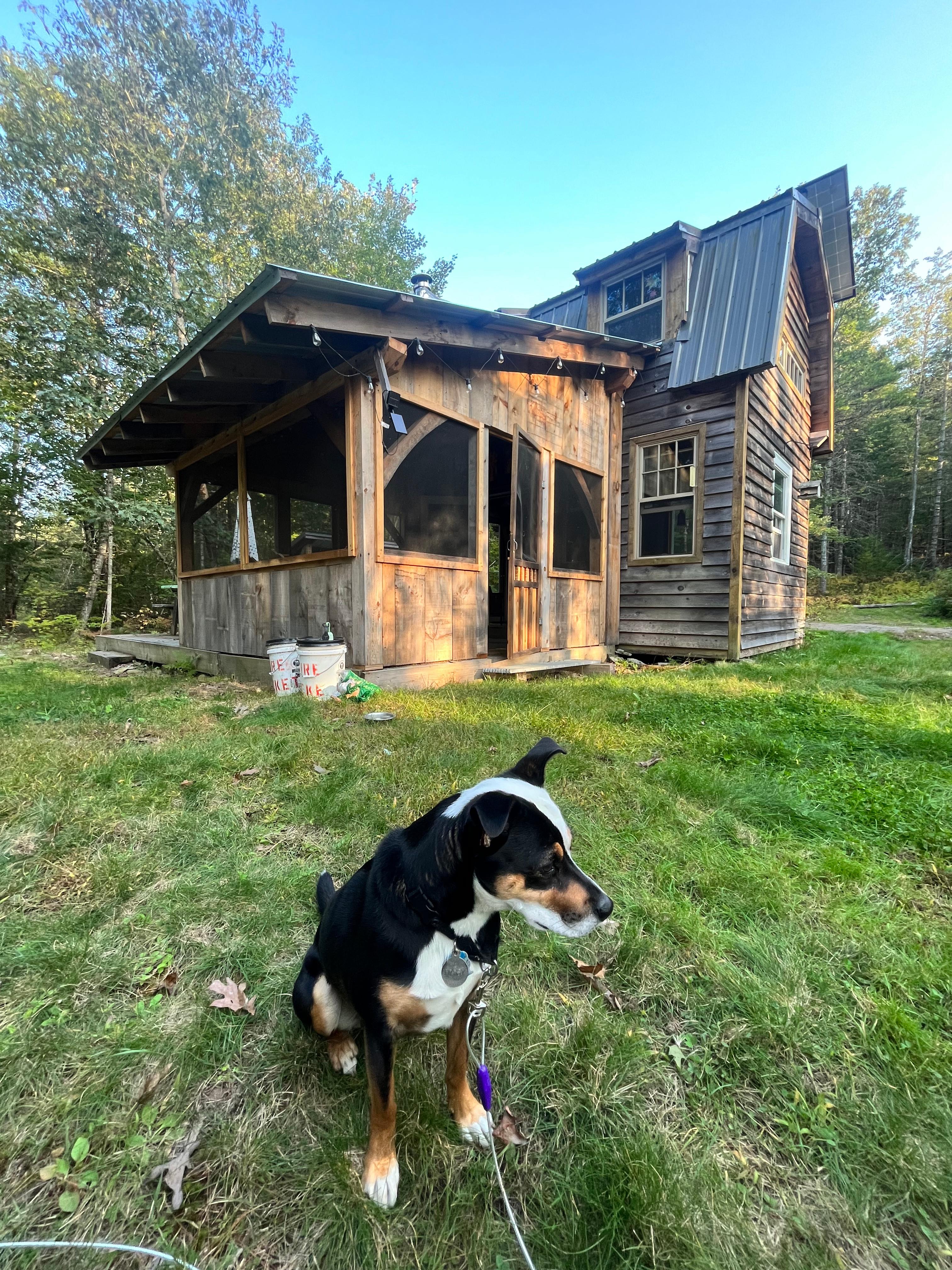Raven's Rest Tiny Cabin