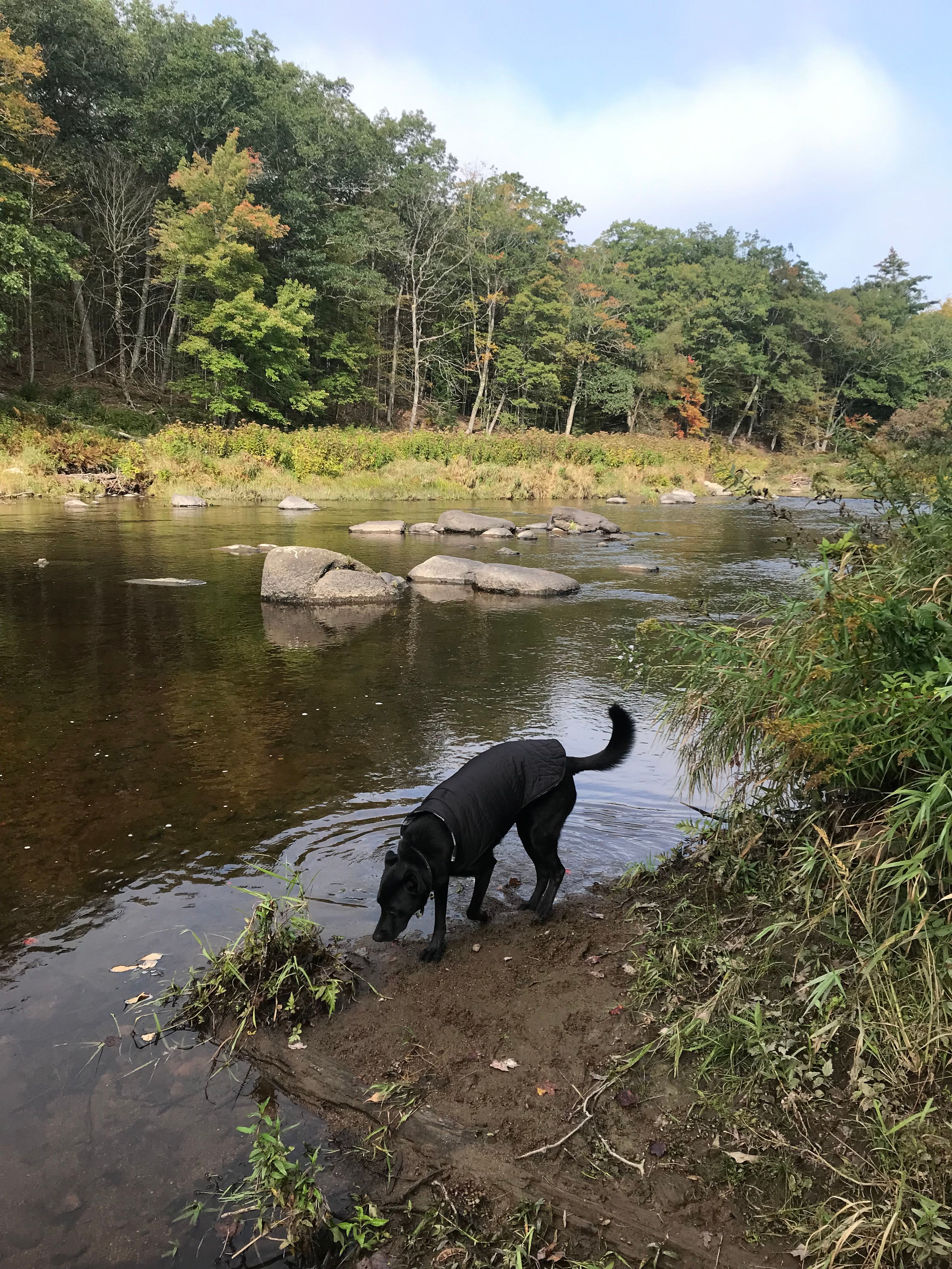 Flatrock on the River