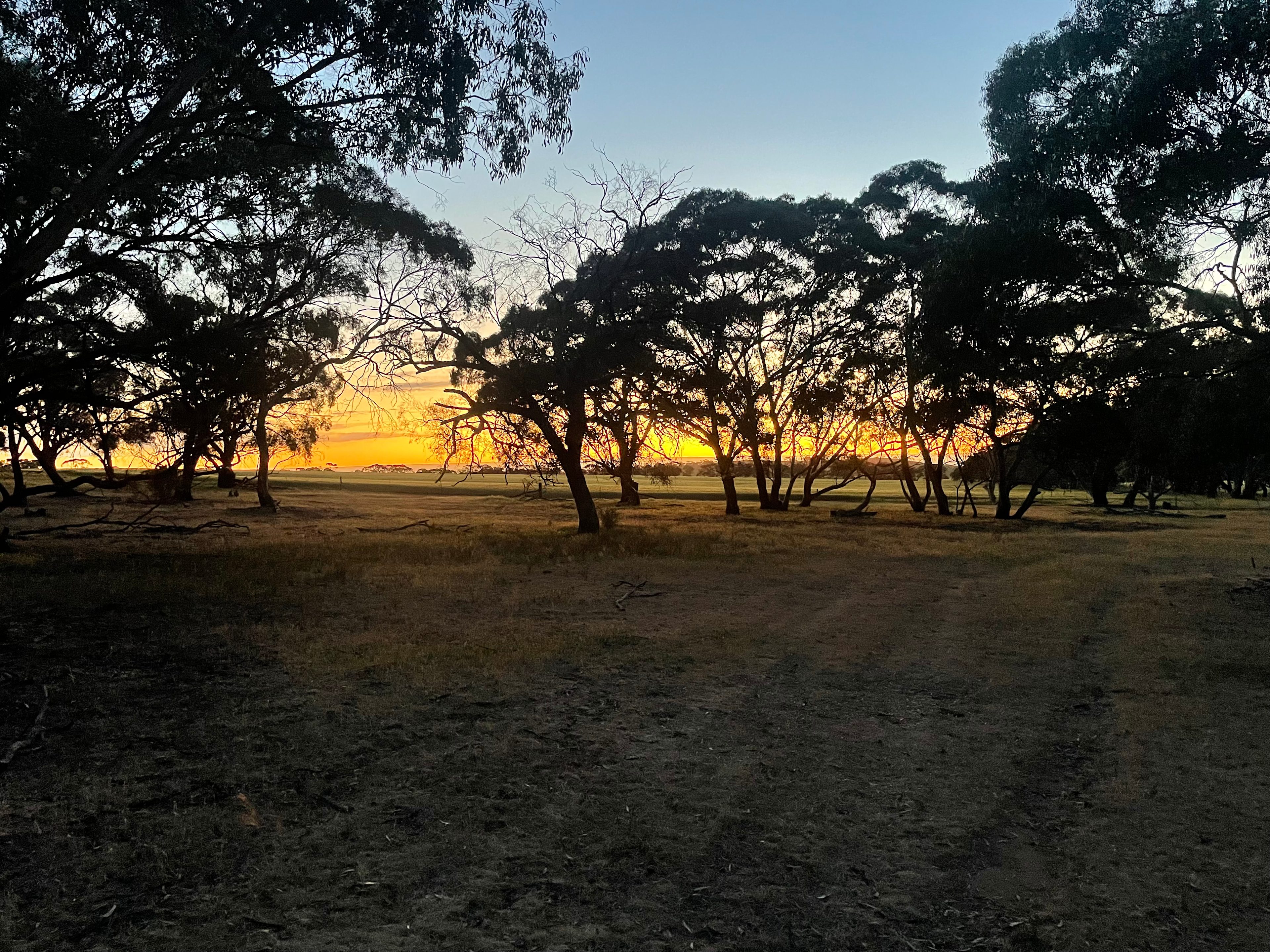 Gateway to the Clare Valley