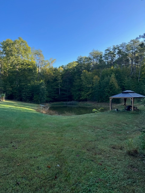 Pergola next to the pond. 