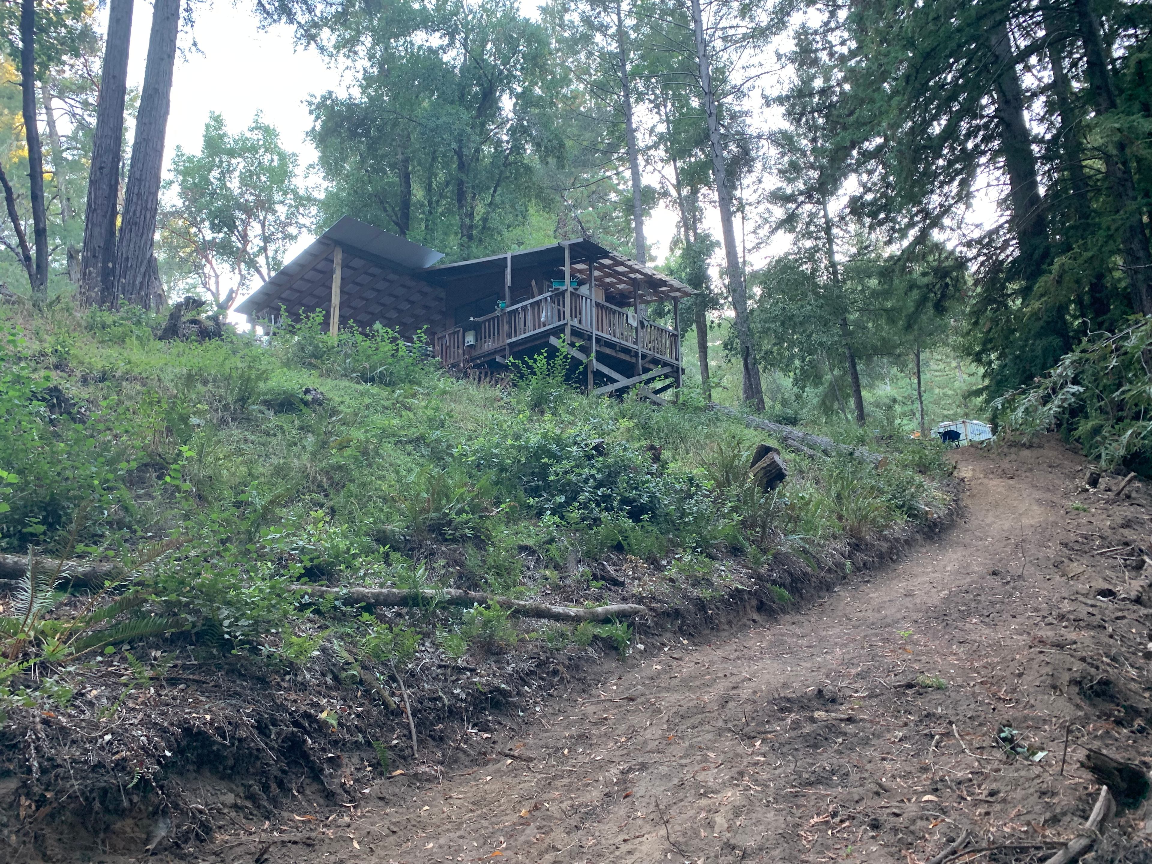 A view of our cabin from site 1.