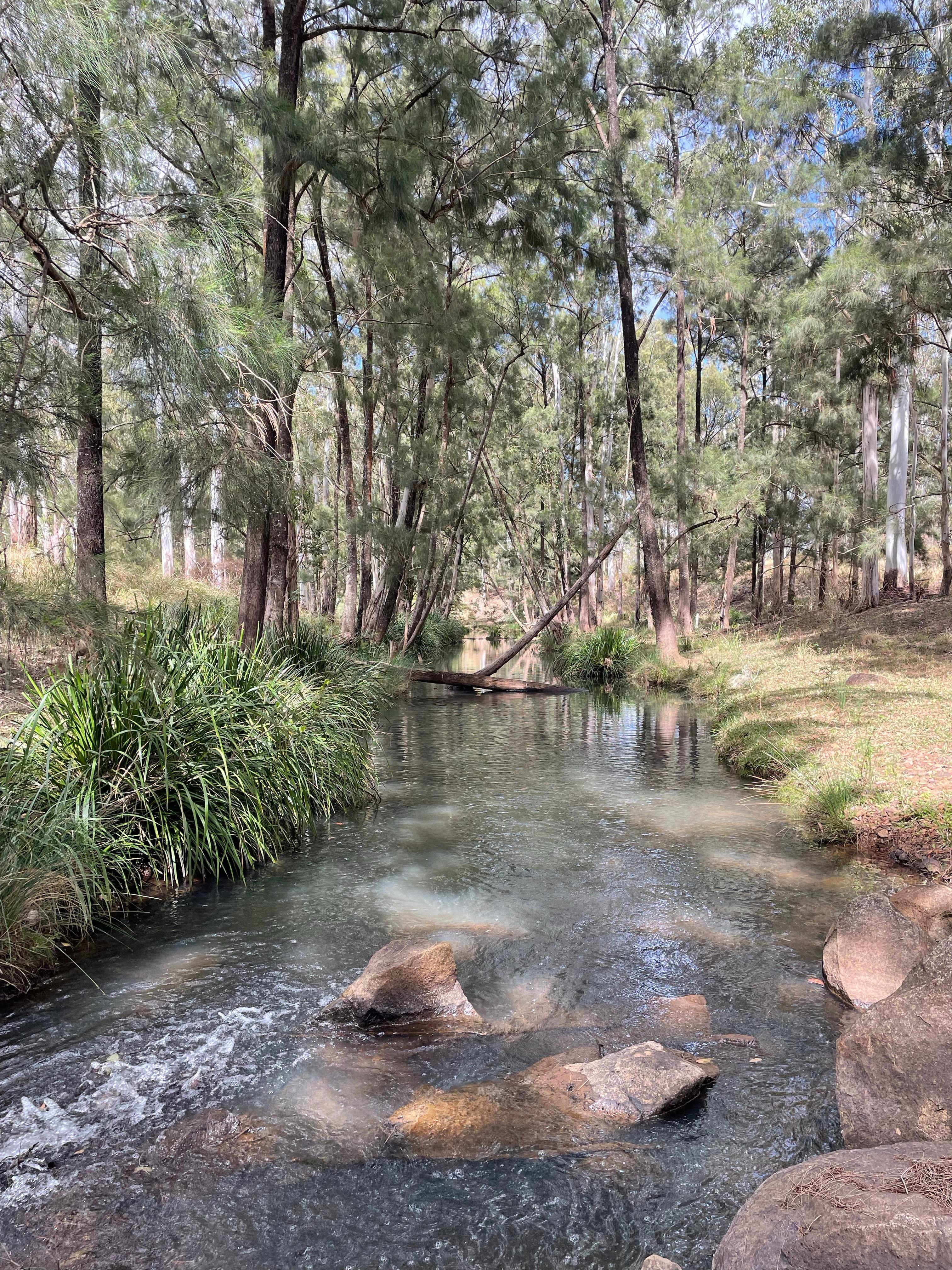 Flaggy Creek Caravan/Camping