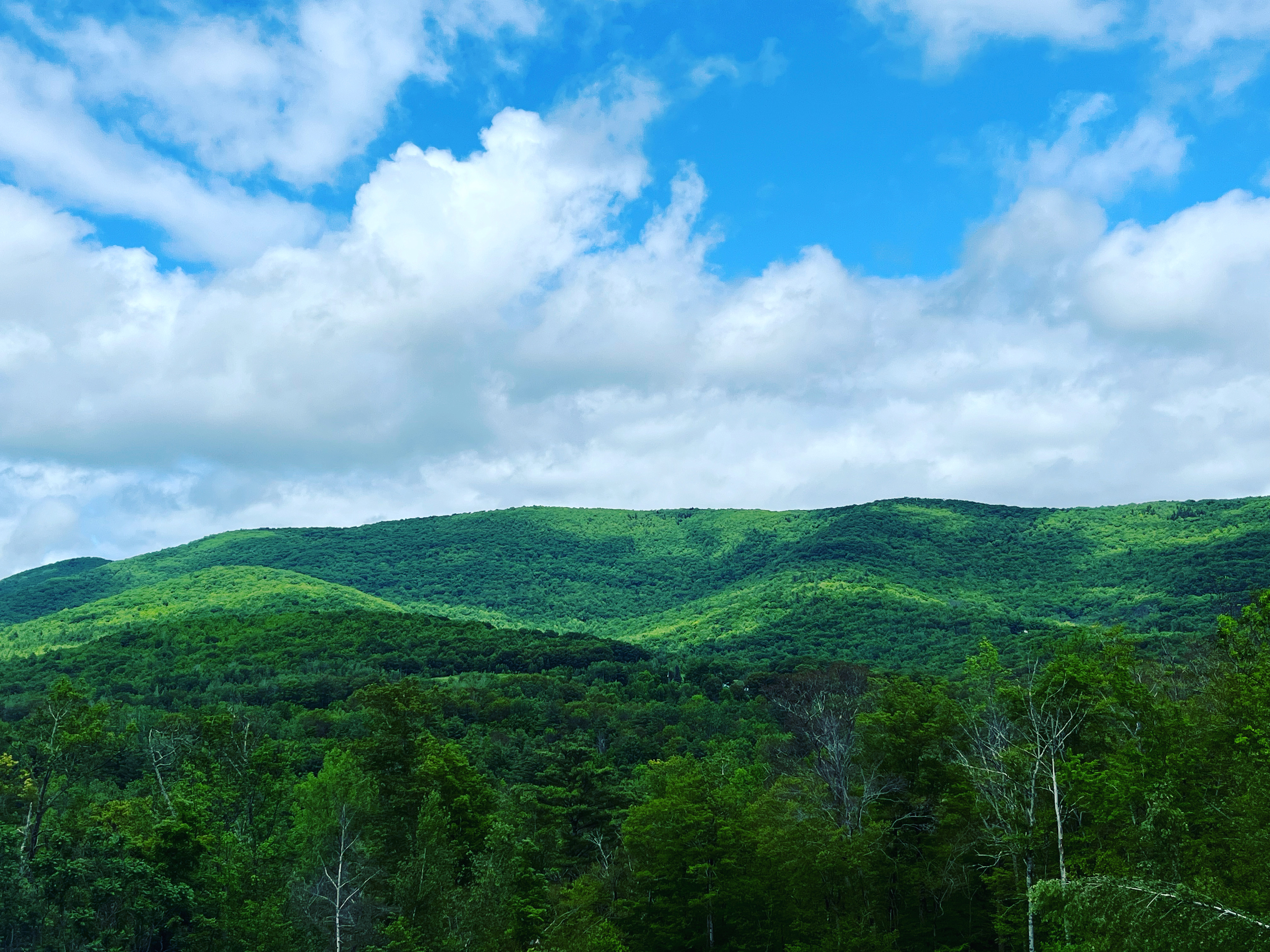 Piebald Mountain