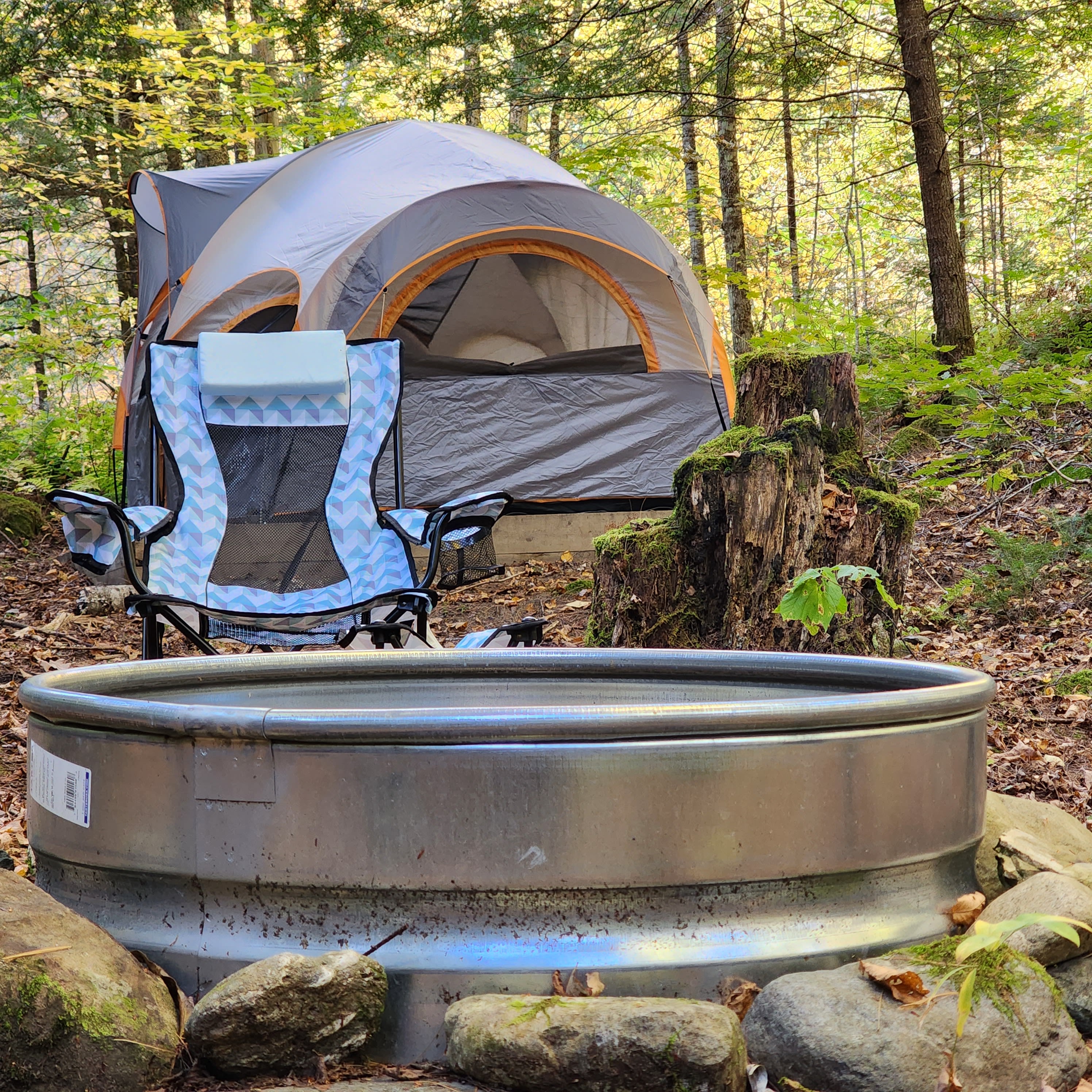 Grand Paws Farm Site 1