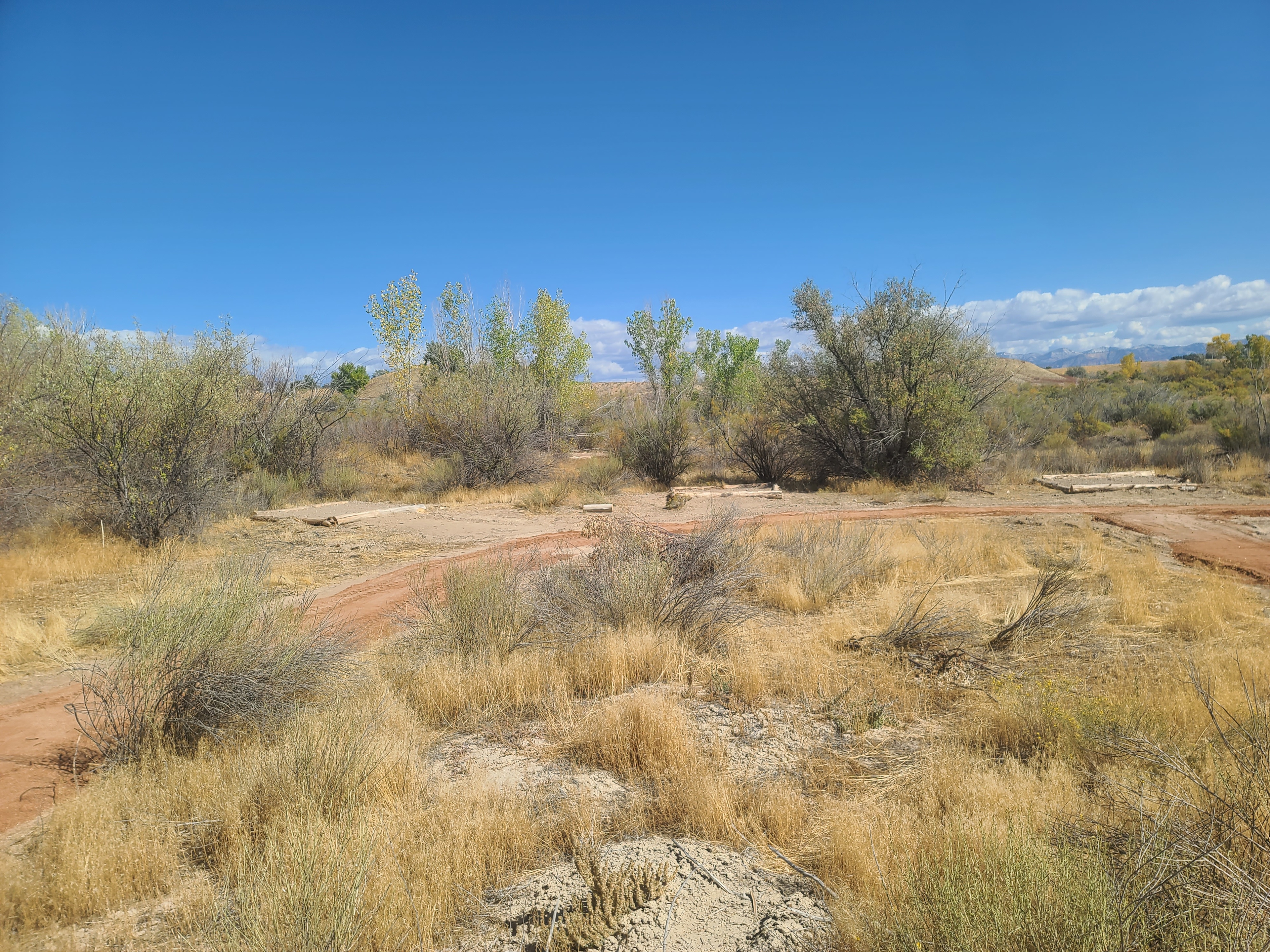 Bear Family Ranch RV and Camping