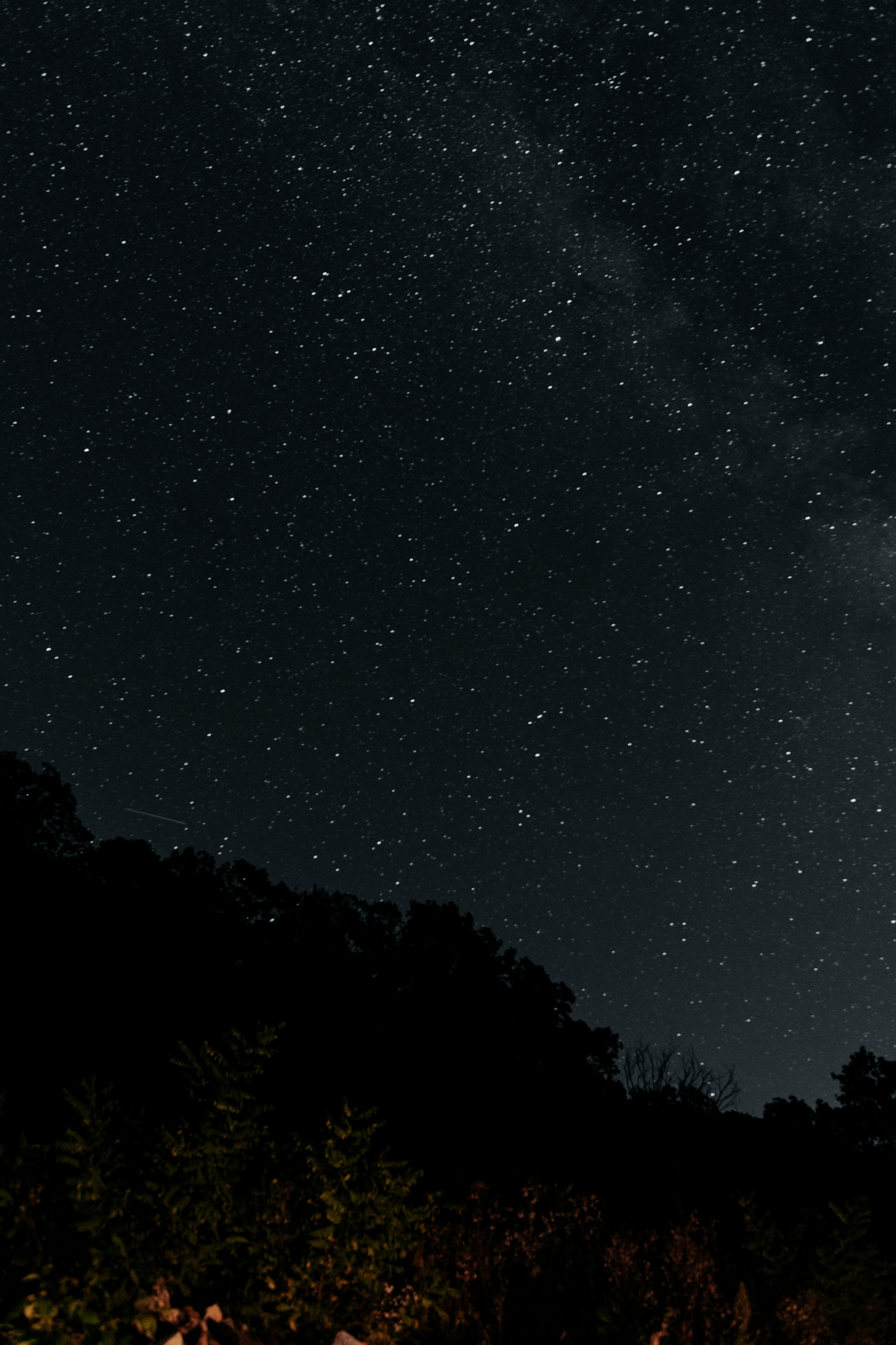 We loved stargazing the night we camped, the sky was so clear. It was unreal.