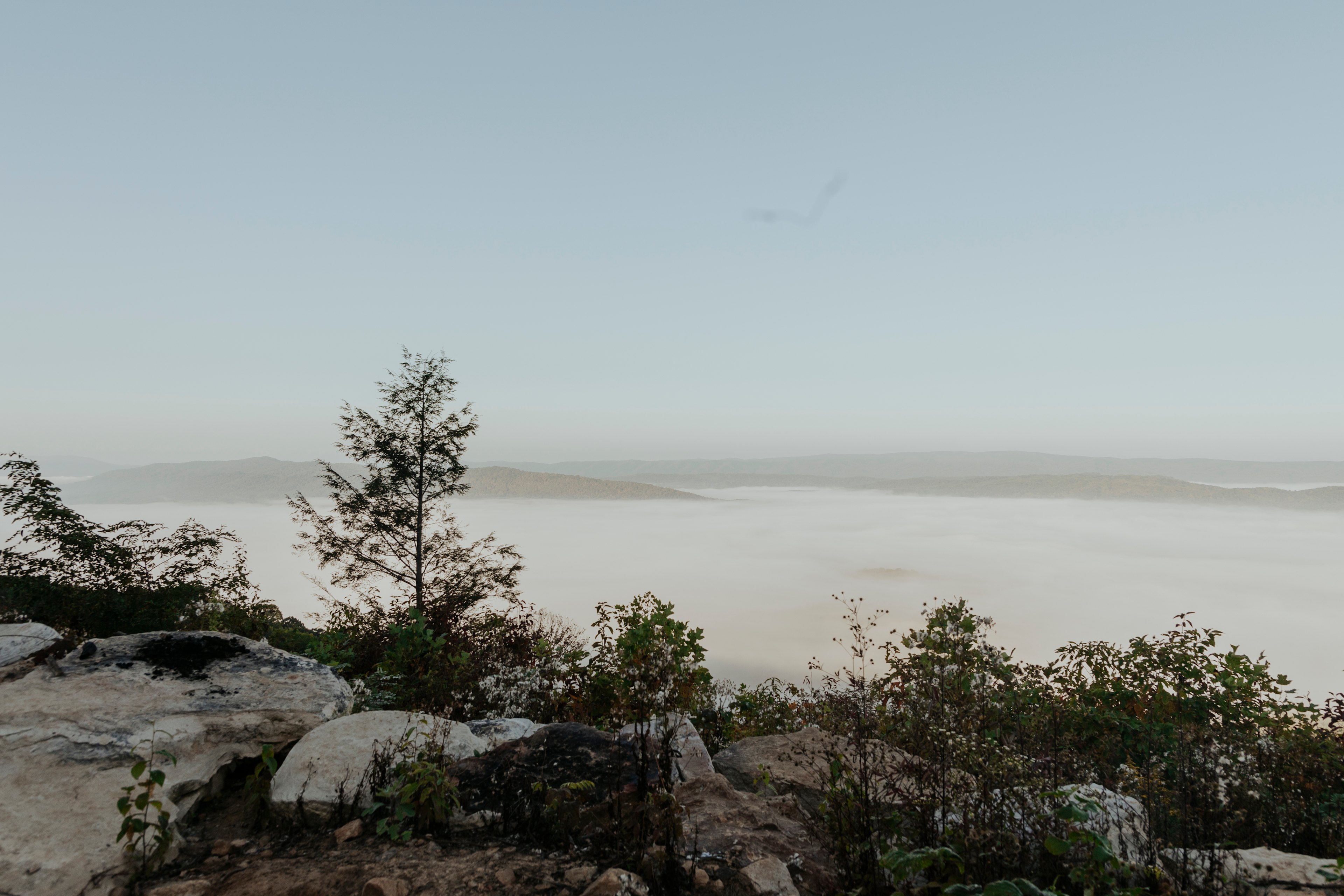 Morning fog covering the mountains as we woke up.