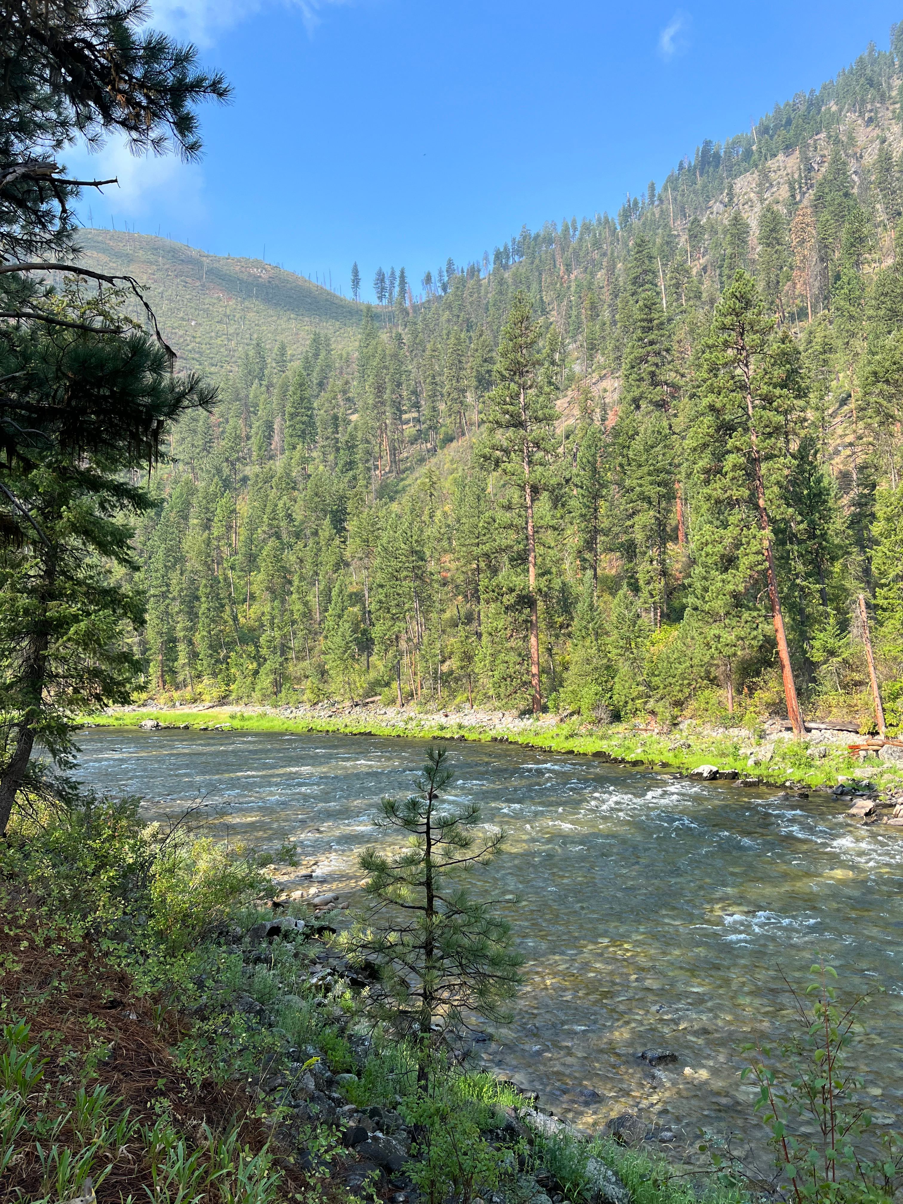 Shiefer Campground