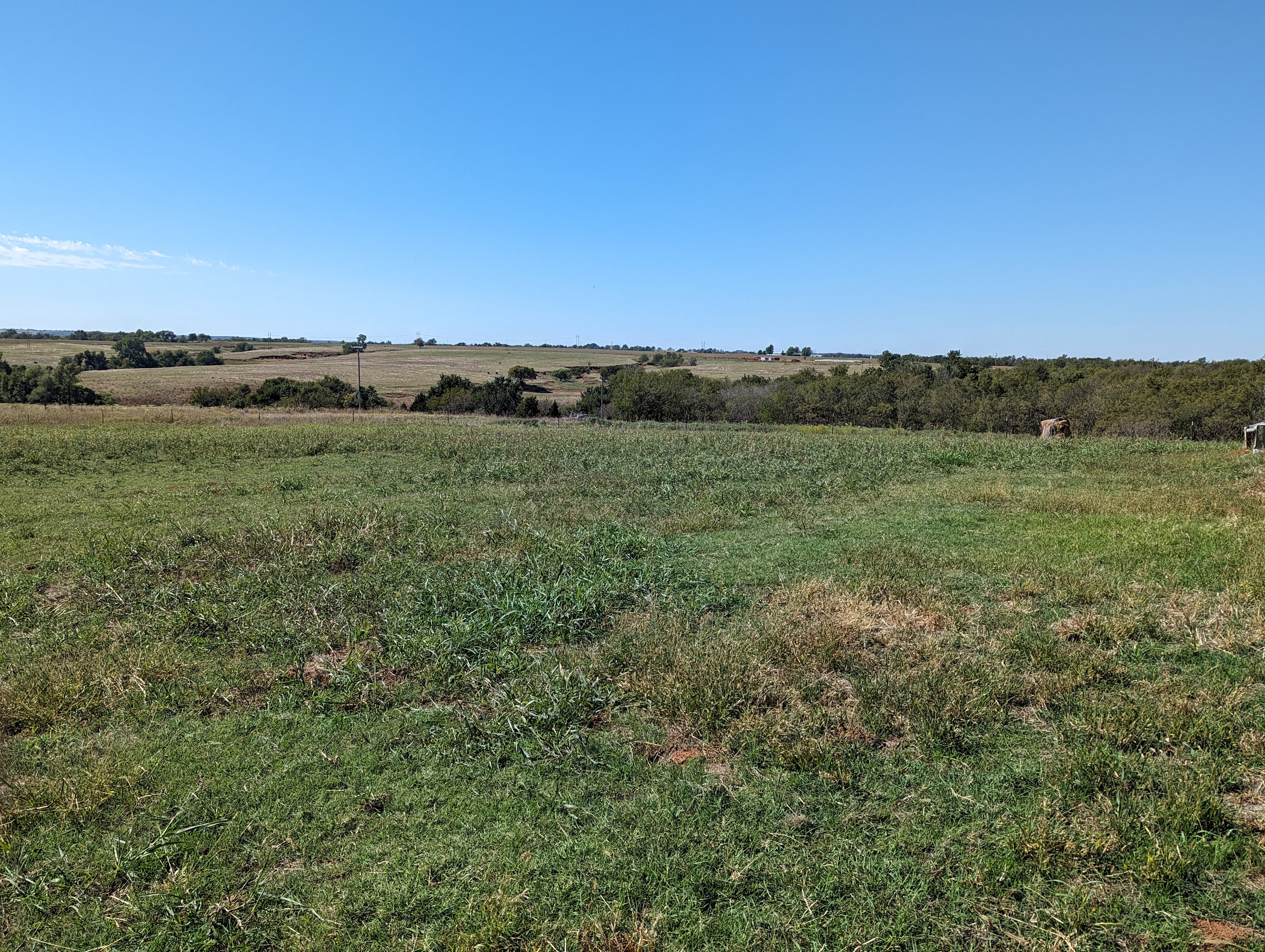 THE FARM