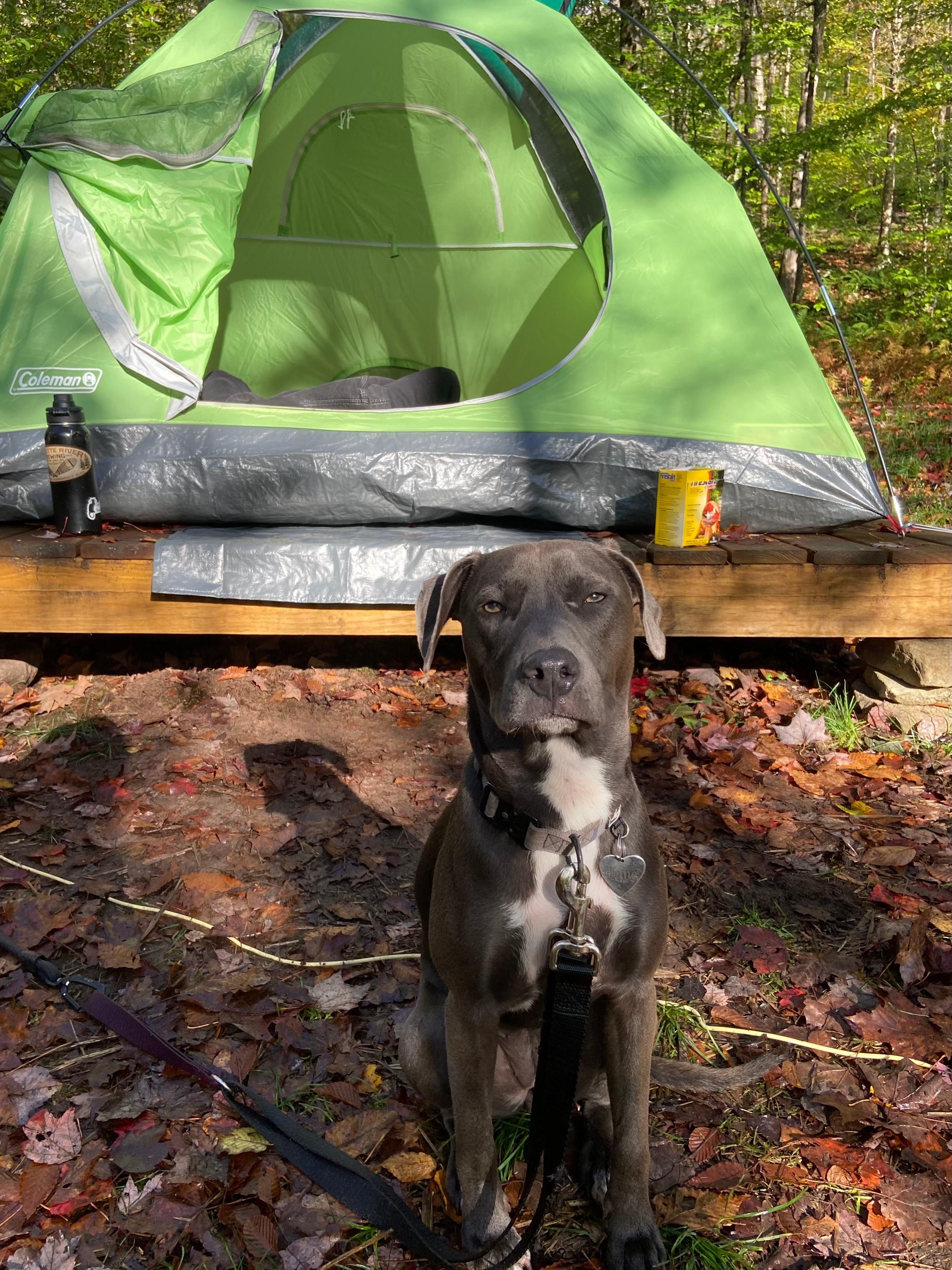 (I swear she was happy)