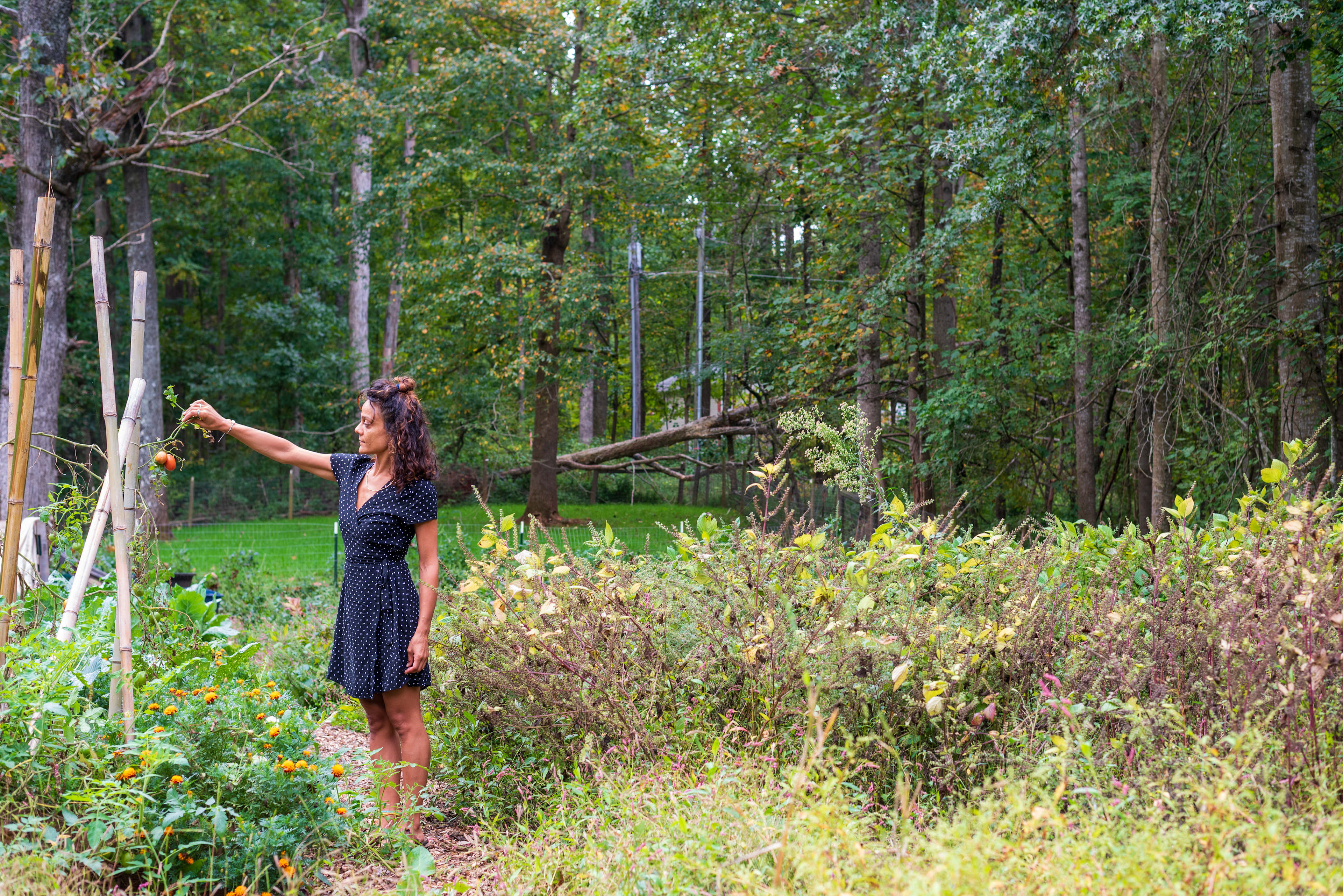 Lovers Lane Farm Stay