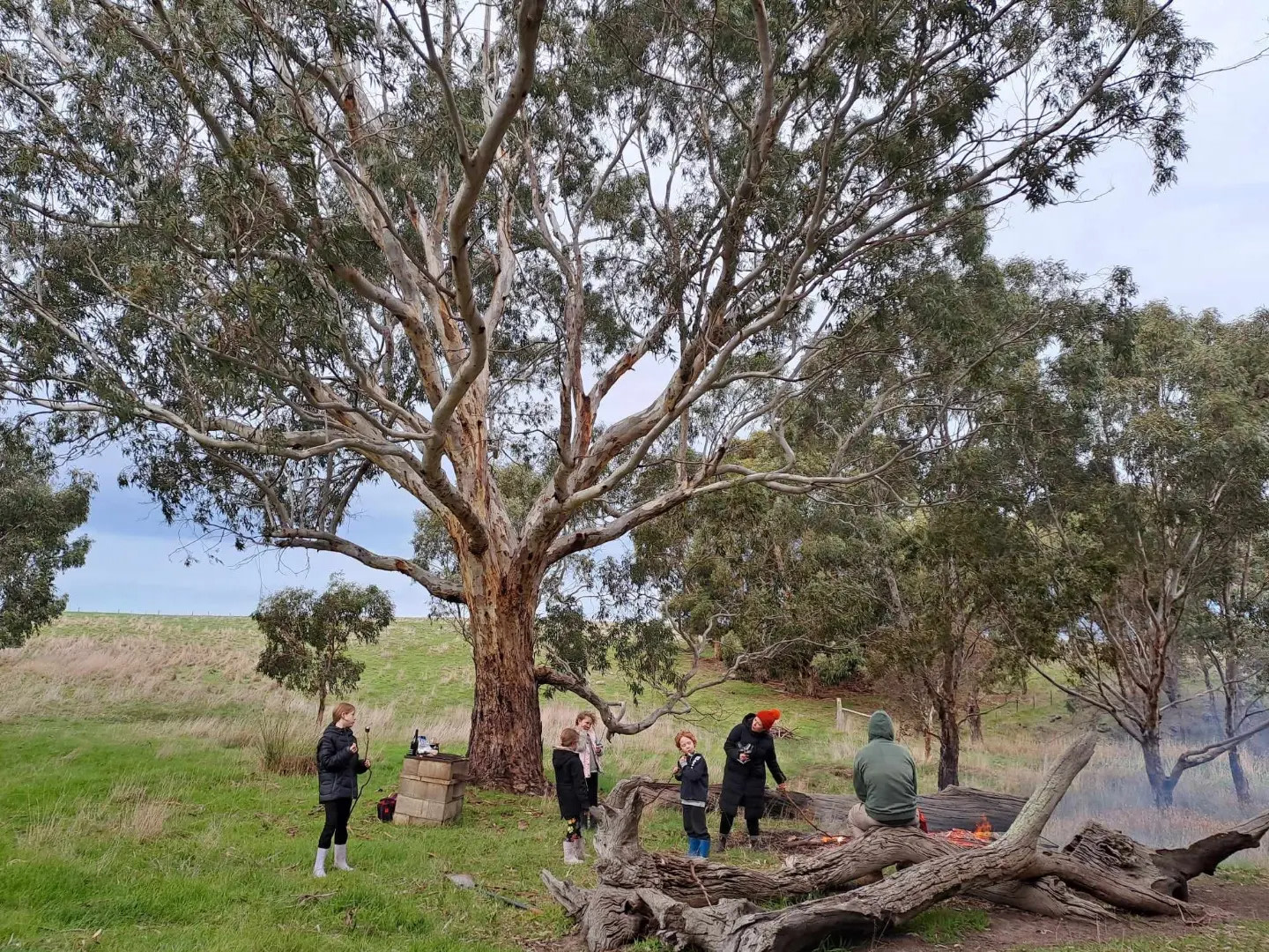 Waitpinga Ridge | Creek Camp Site