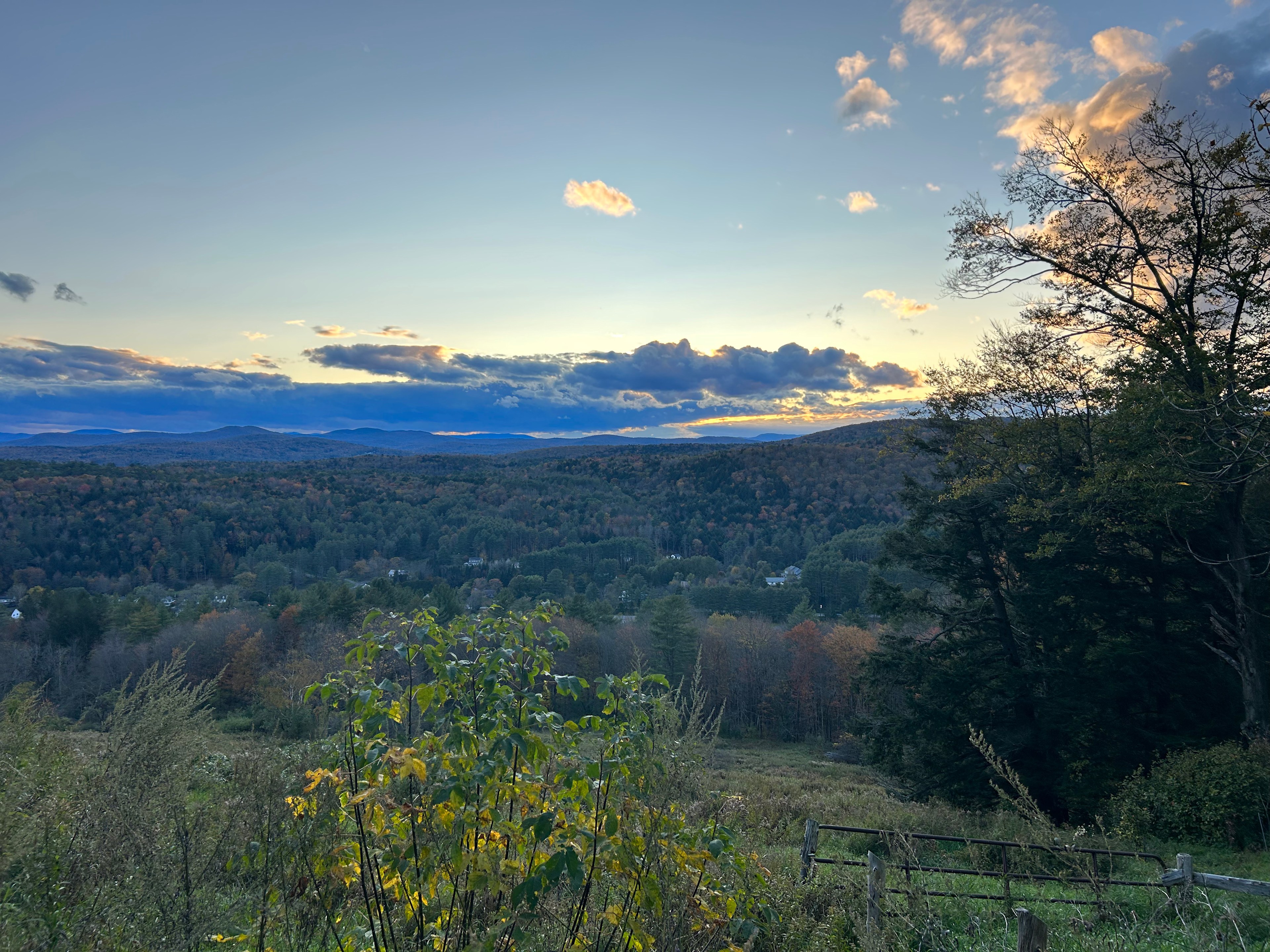 Turtle Hill Gardens