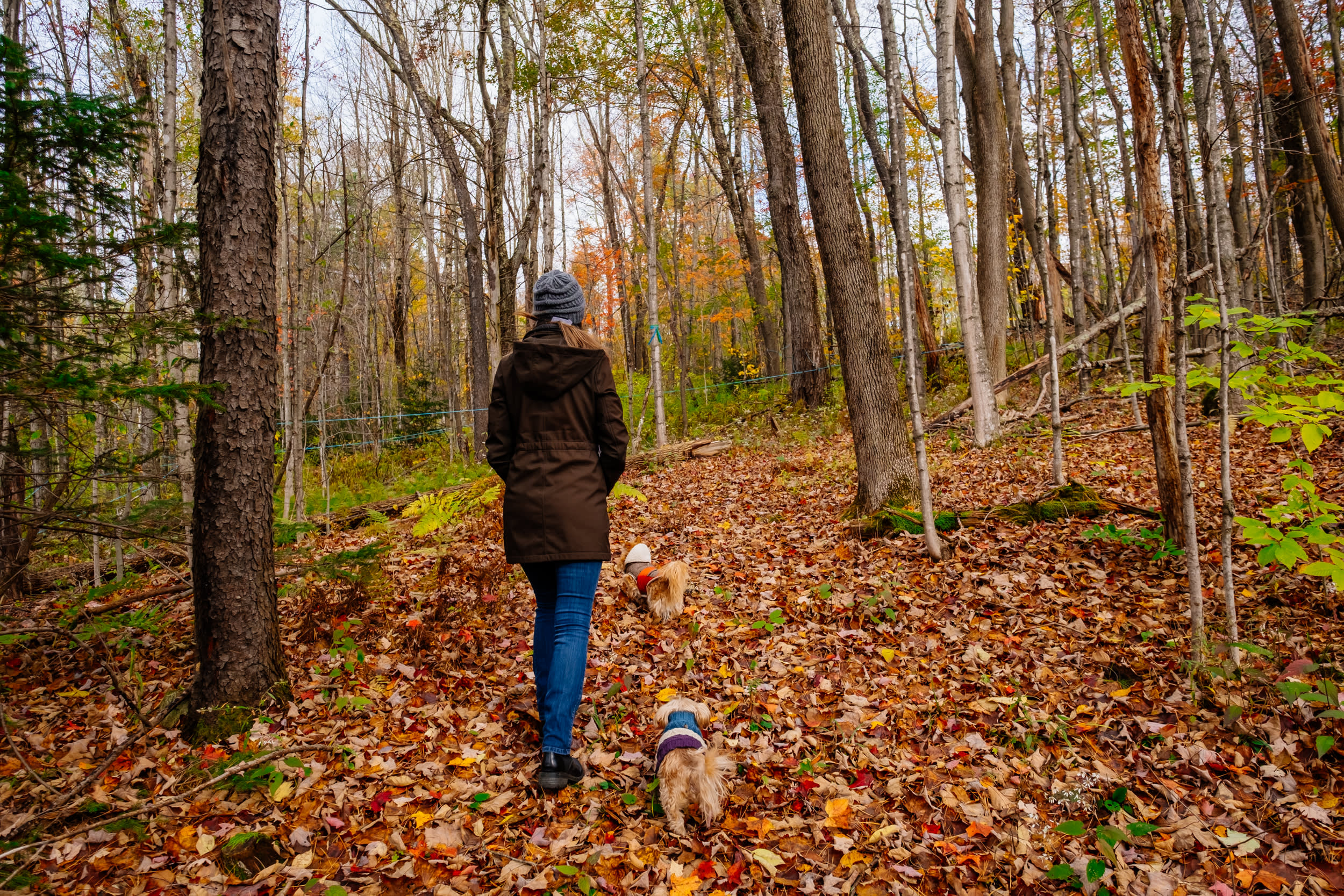 Short trail behind the Inn