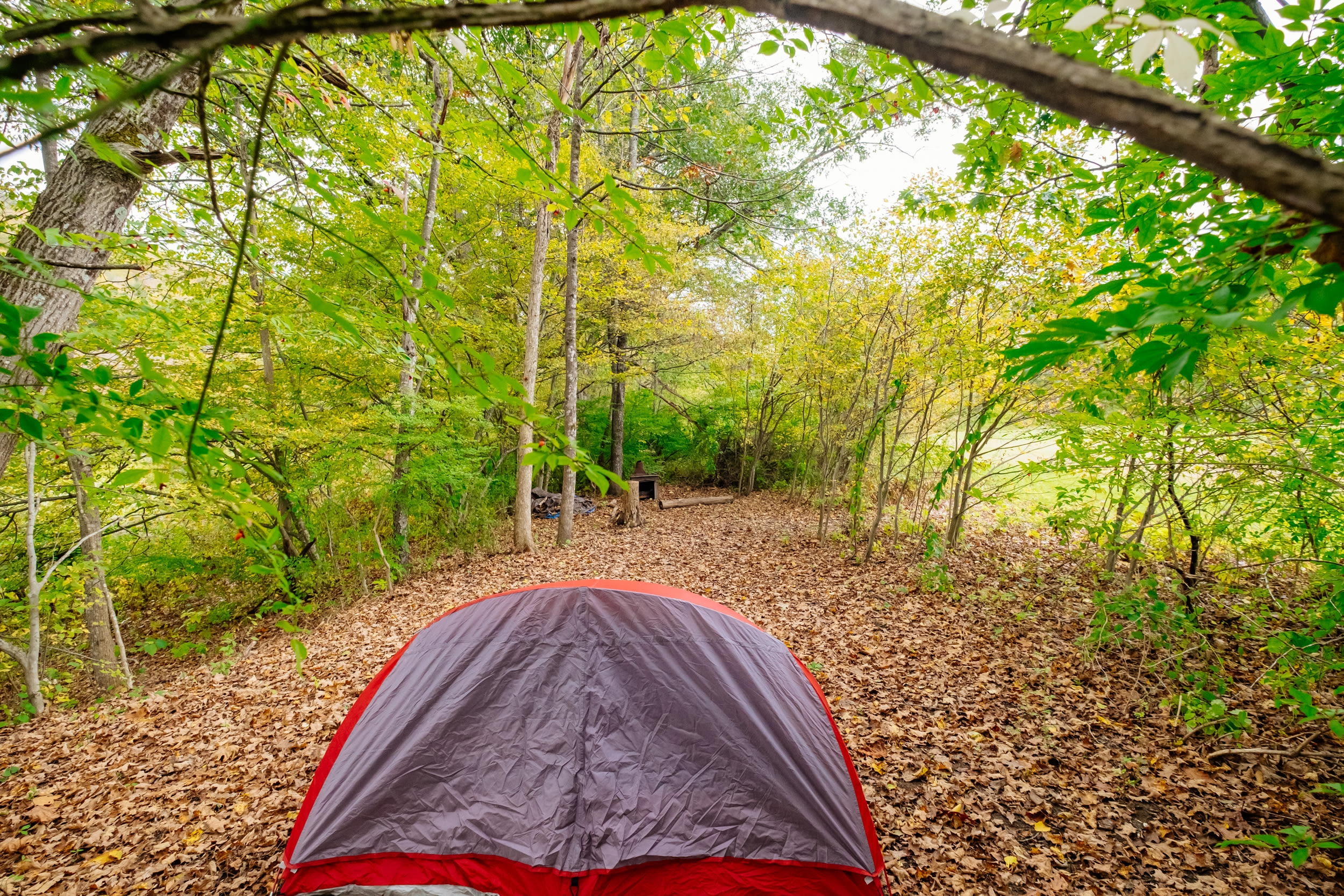 Riverside Maple site