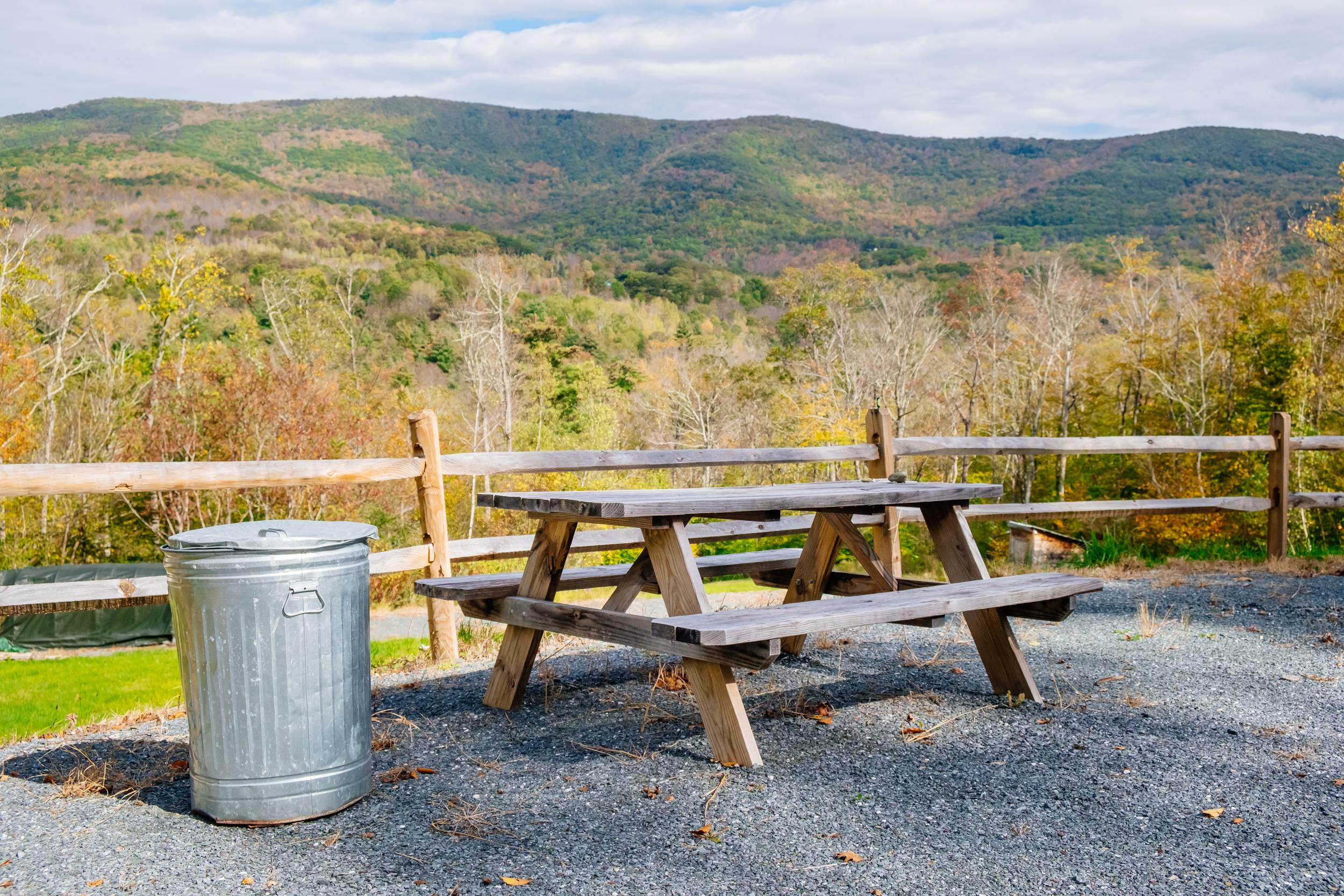 Picnic table and trash on site