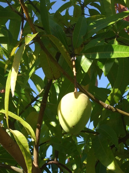 Coffs Harbour Camp / Cottage / 4wd