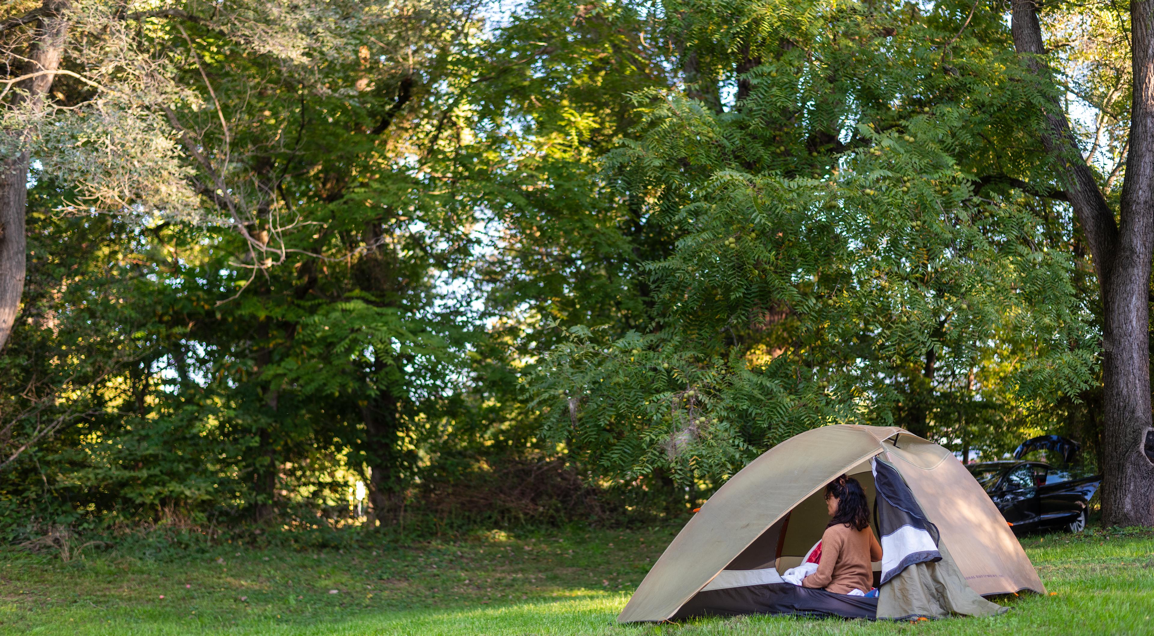 Lillys Camp