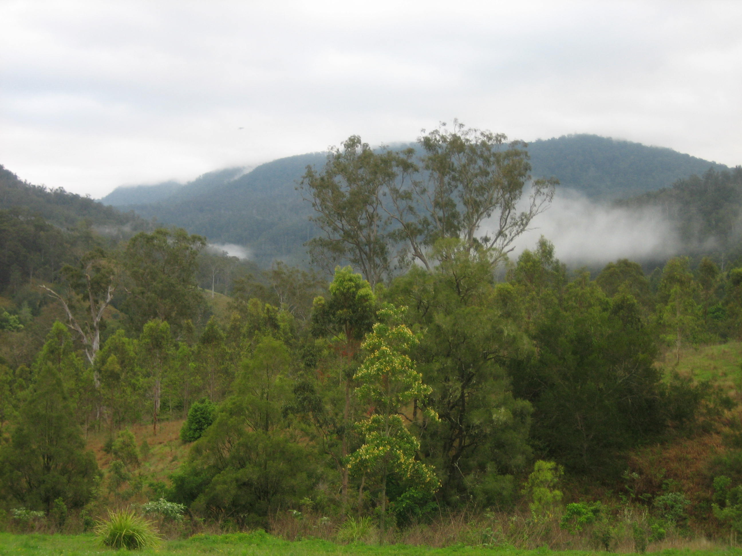 View of Border Ranges NP and Levers Plateau to the north
