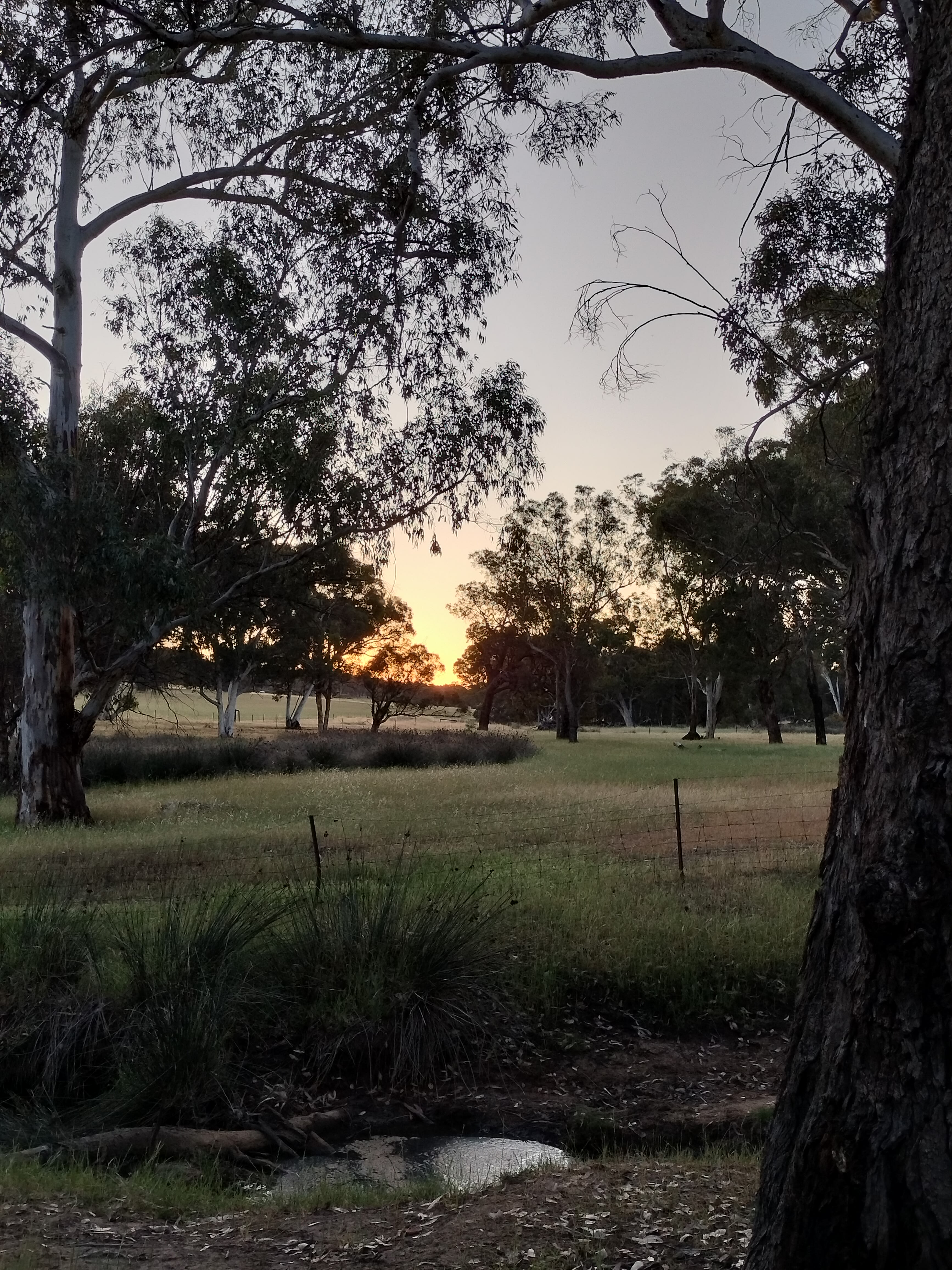 Avonbrook Wheatbelt creekside camp
