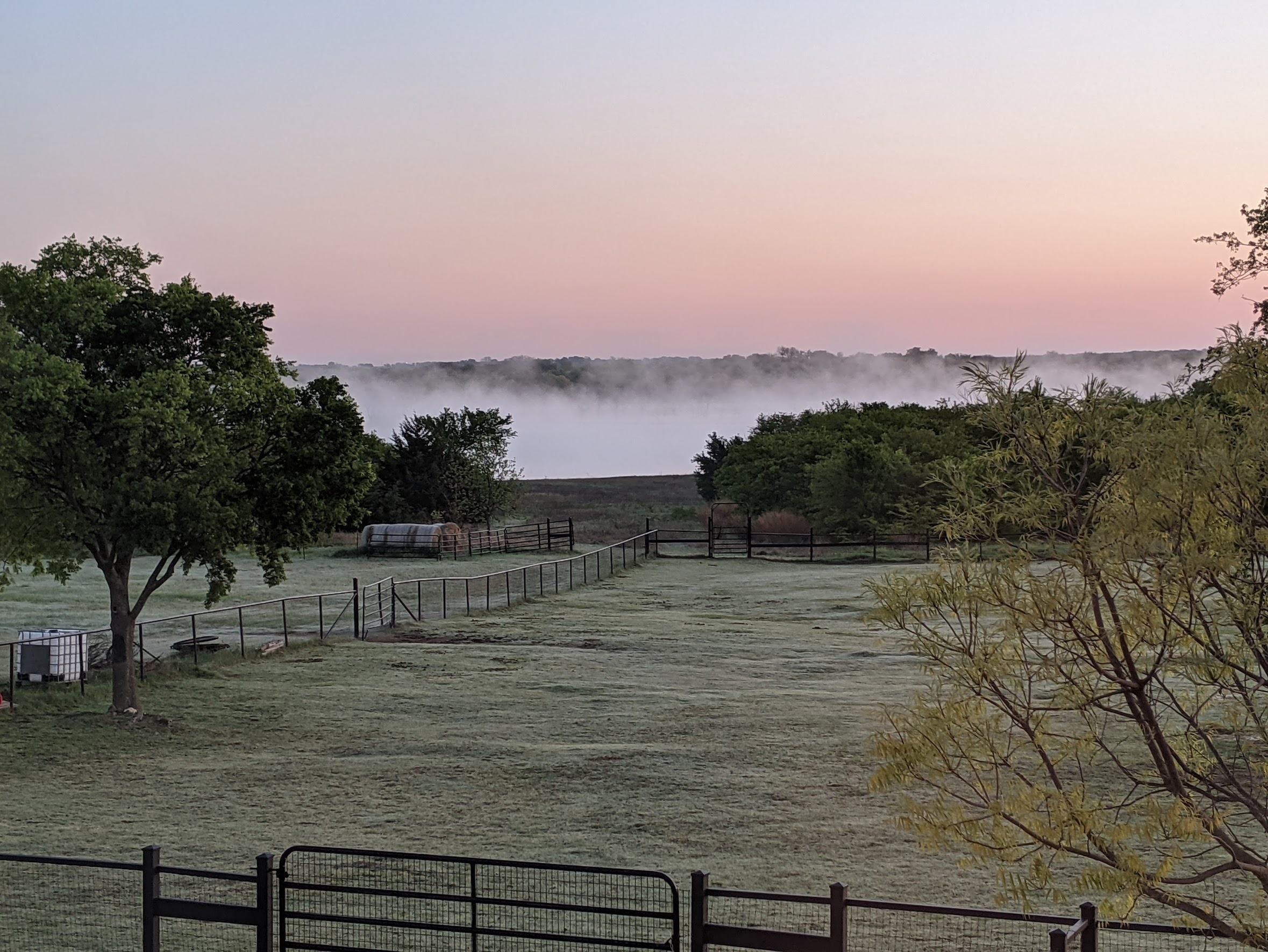 Pretty morning fog on the lake