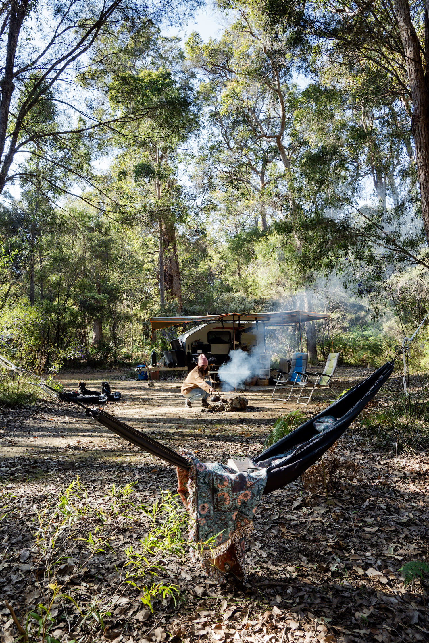 Plenty of space to enjoy the peaceful forest, listen to the birds and relax