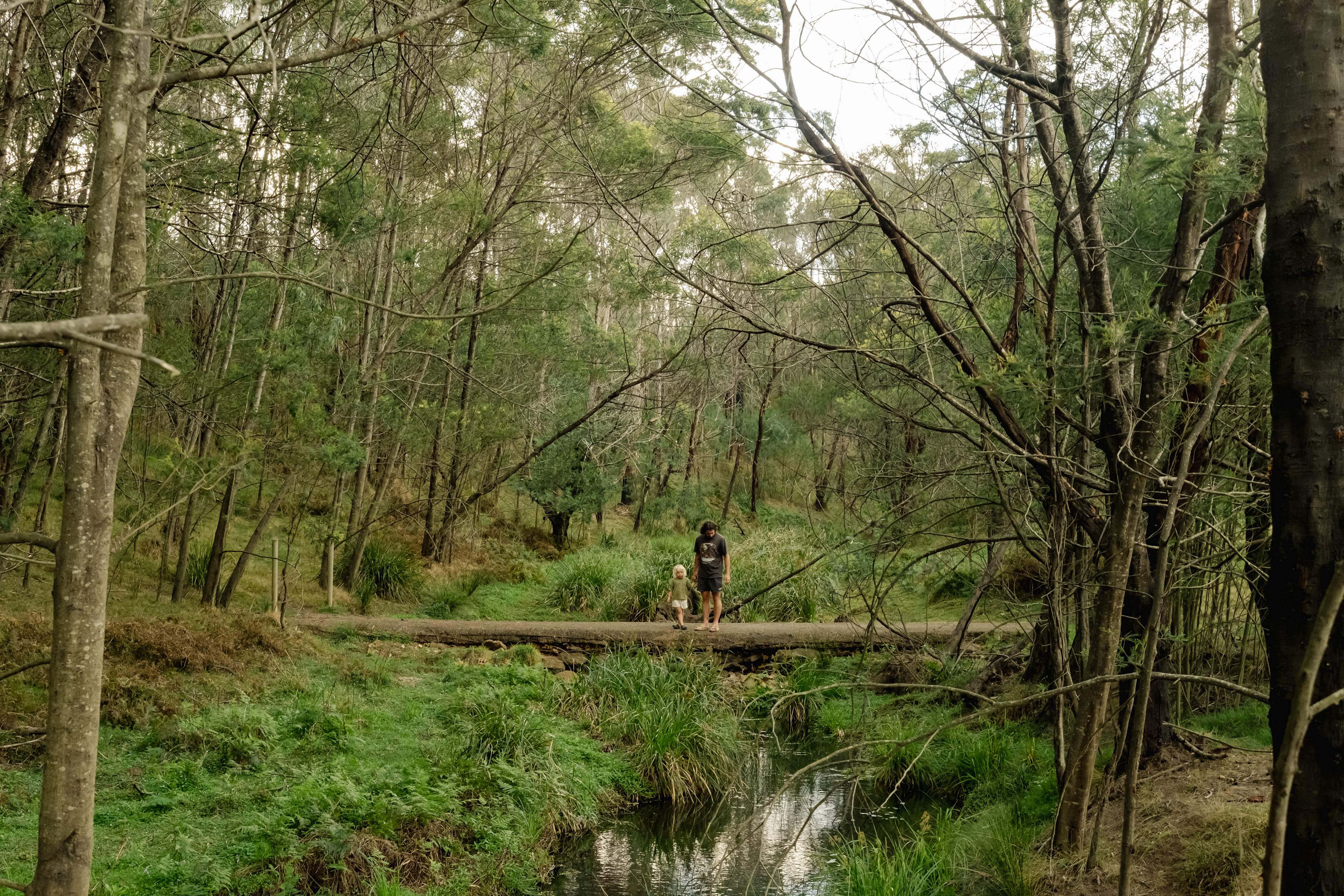 Little bridge over creek