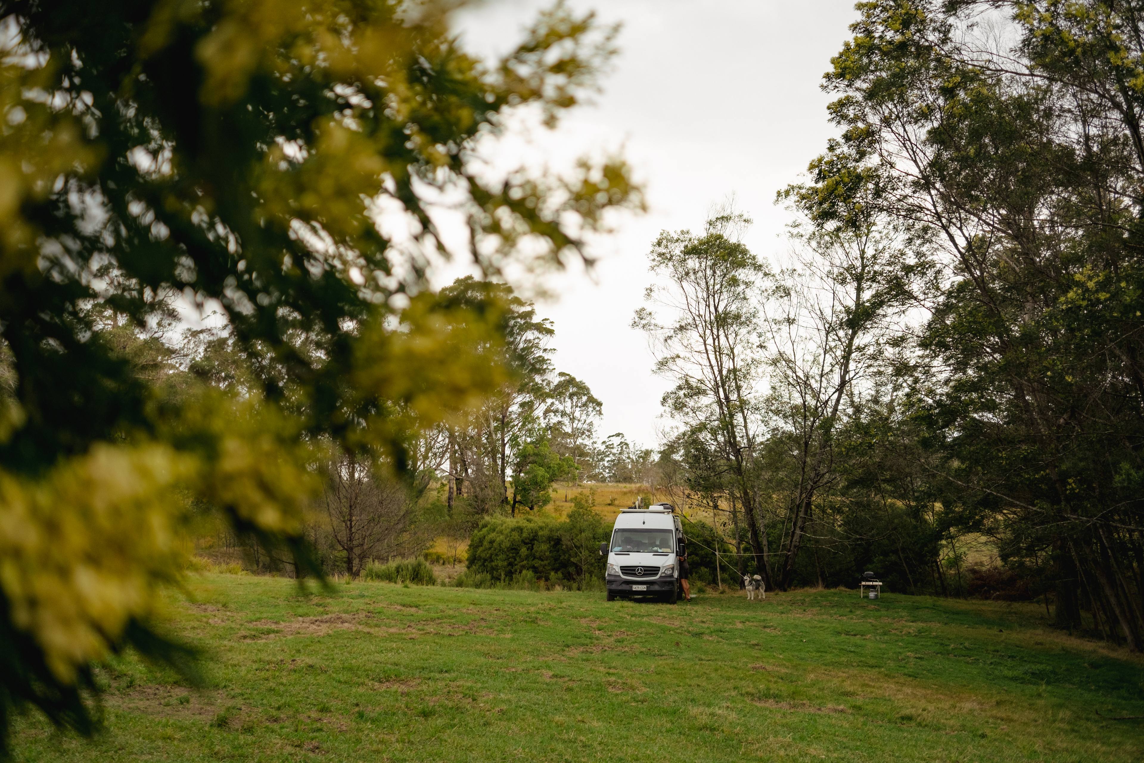 The Hundred Acre Woods