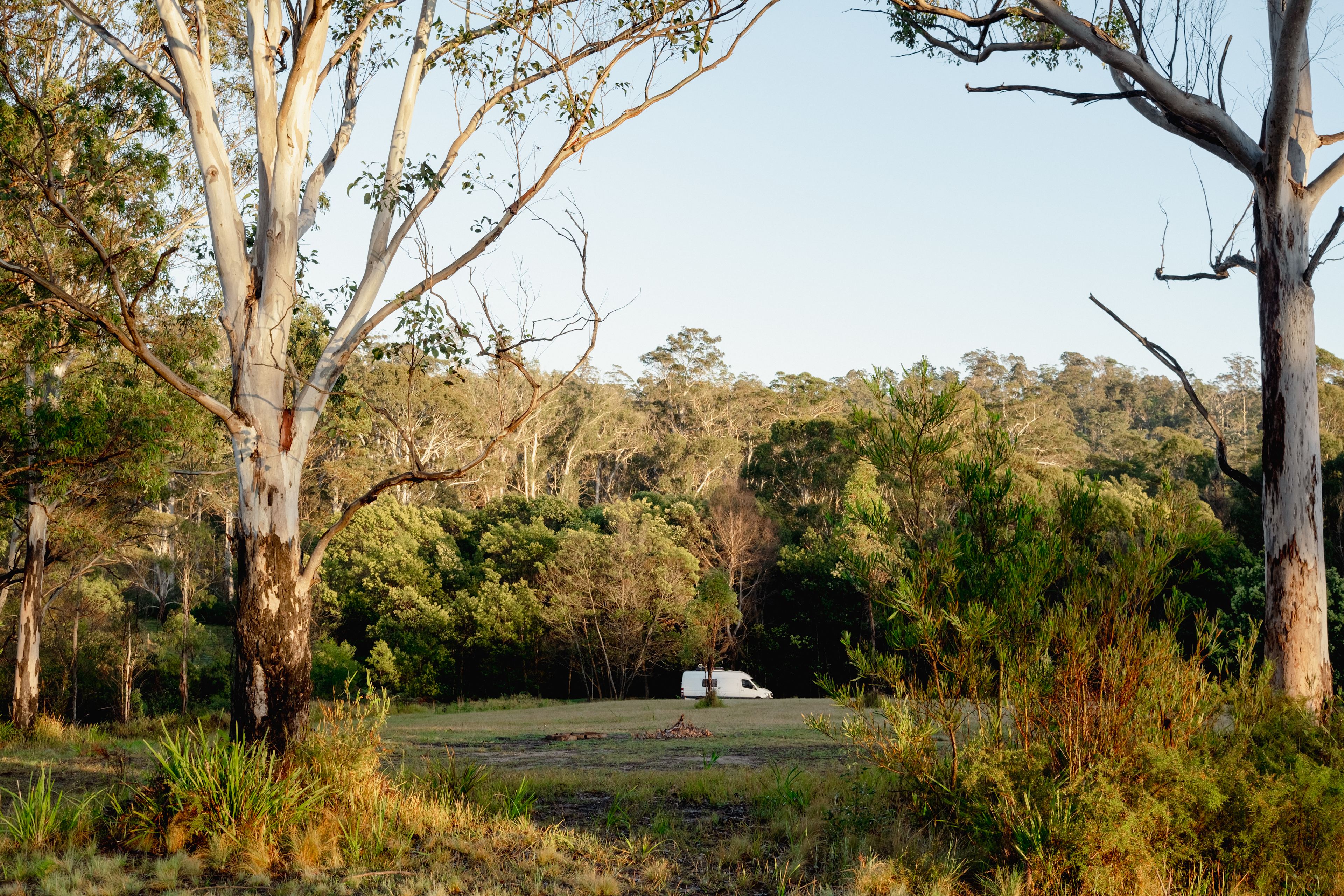 The Hundred Acre Woods