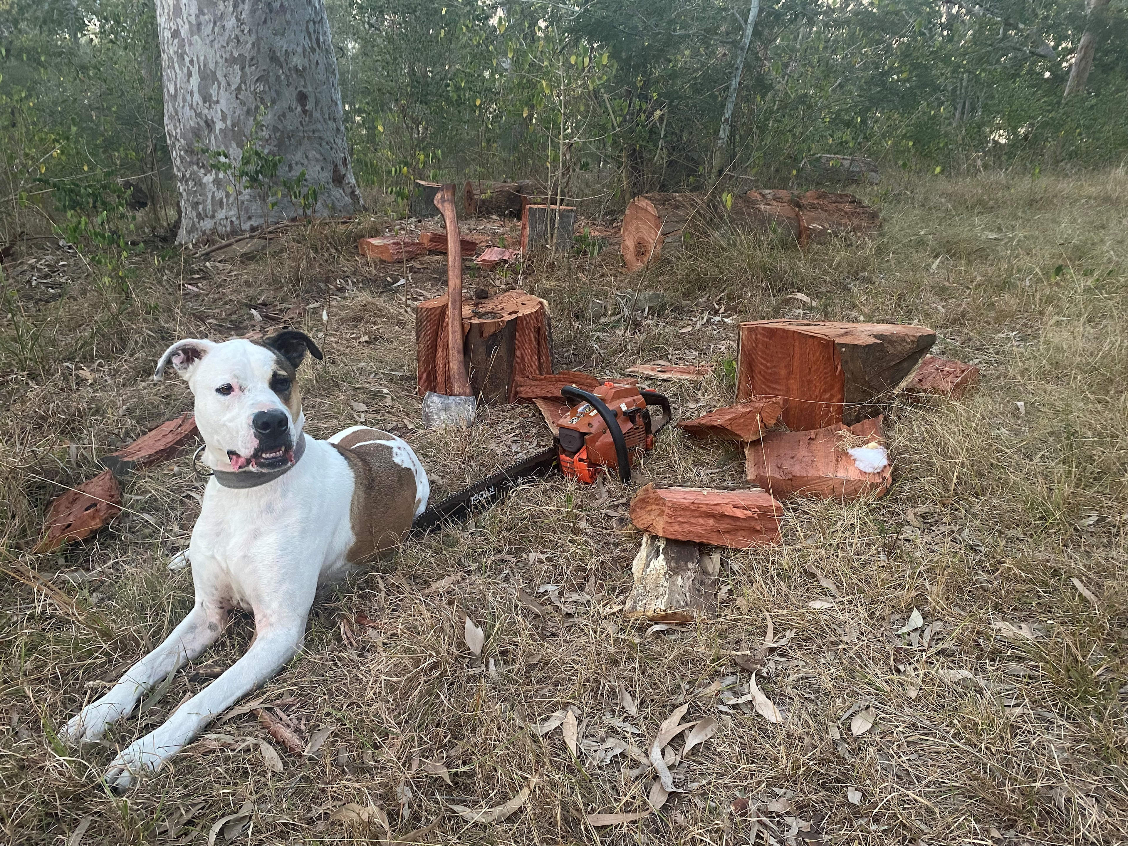Hunter River Bush Camp