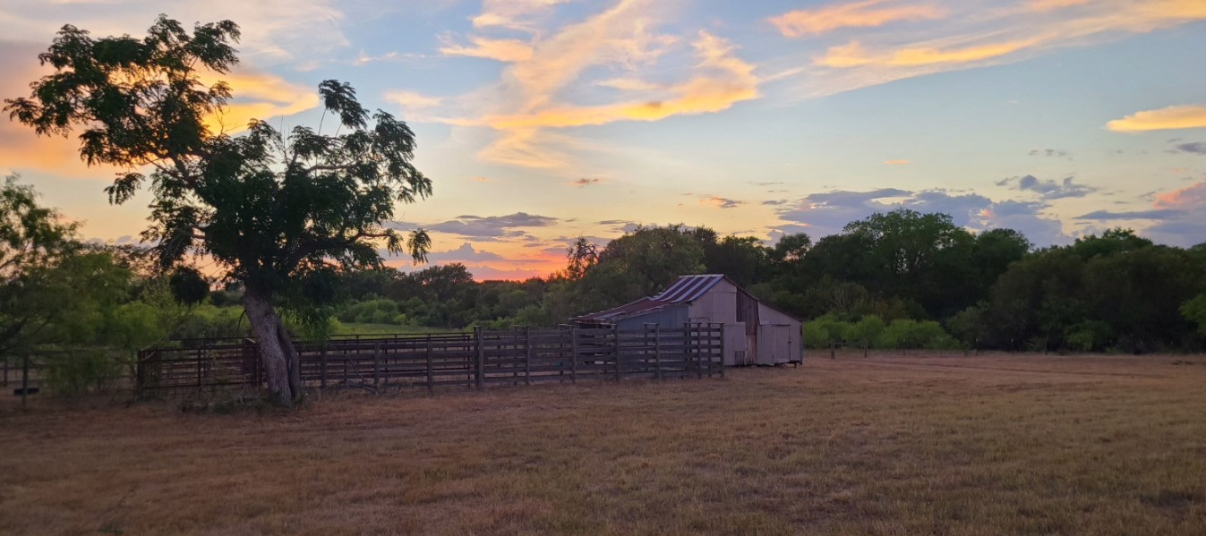 Secluded Birding on Lone Oak Farm
