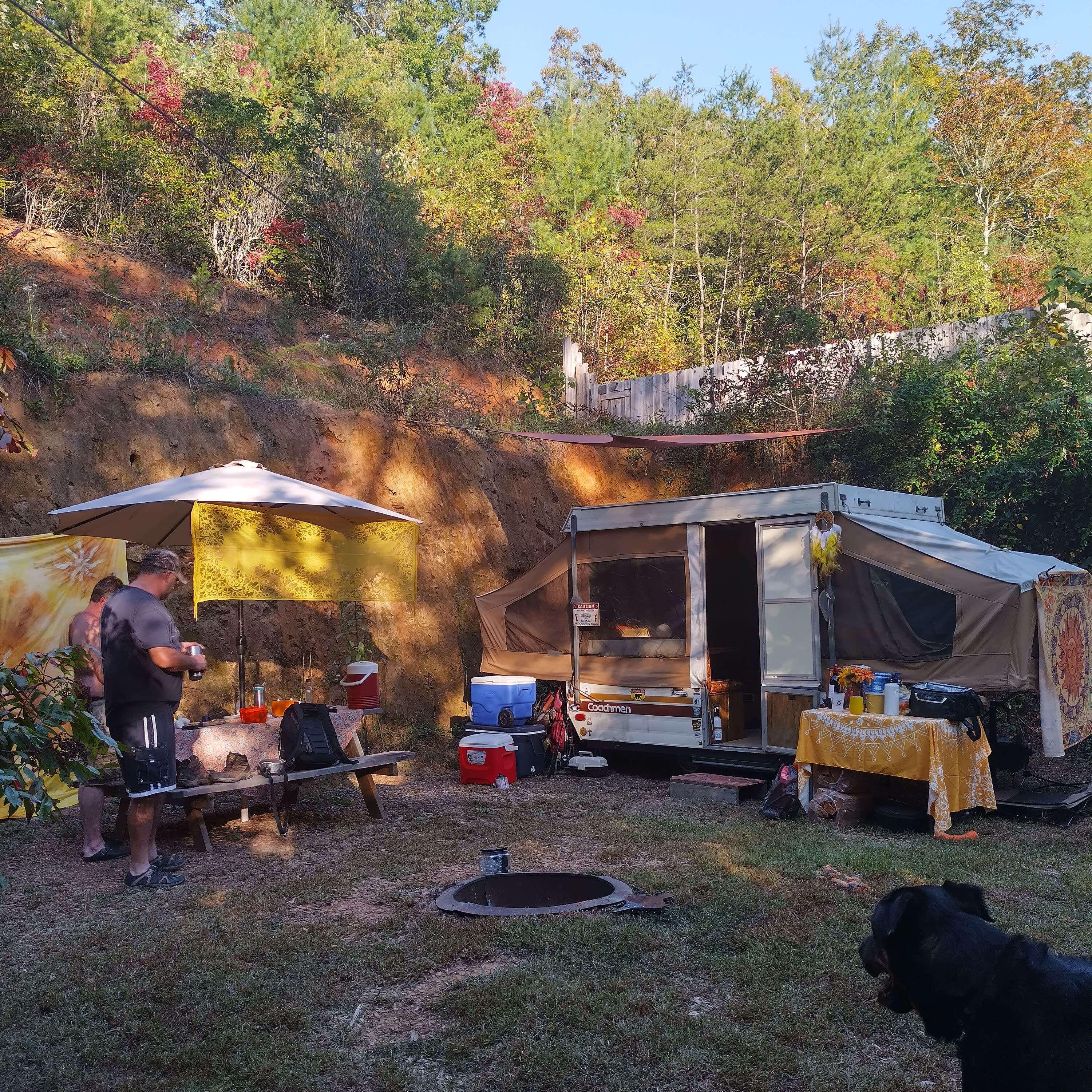 Martin's Nest Nantahala