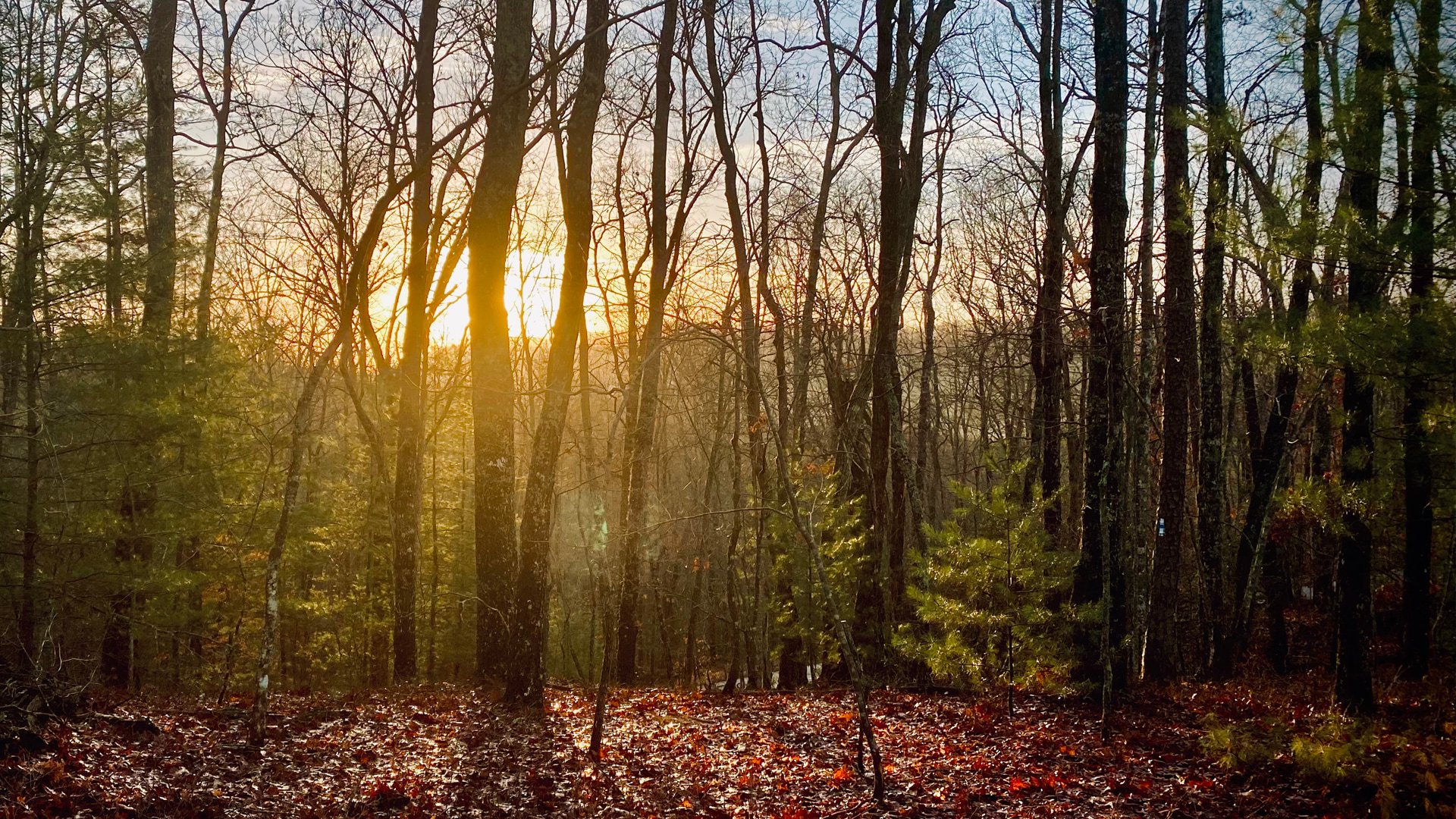 The Property at Mull Valley