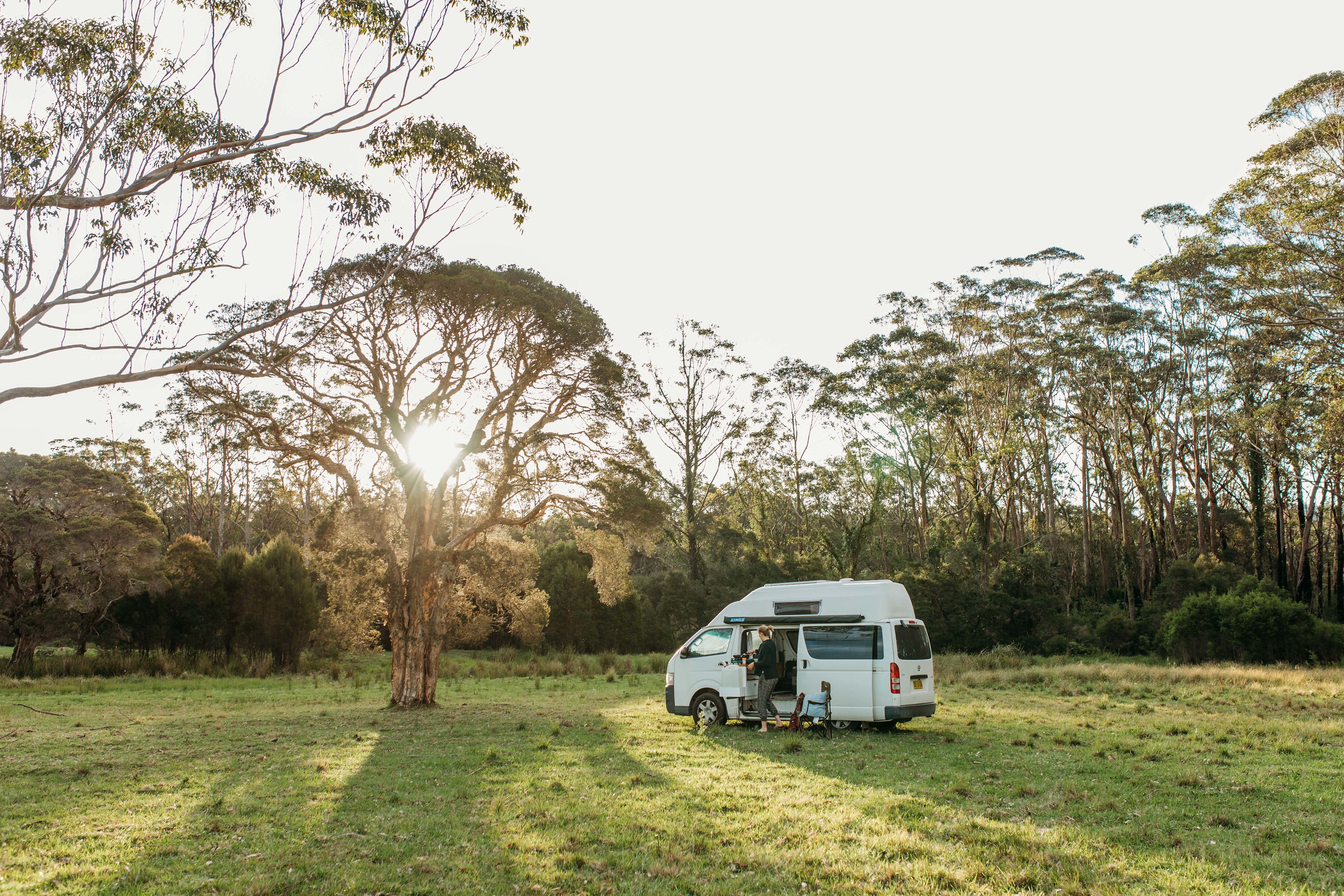 The Wandy Donkey Camp