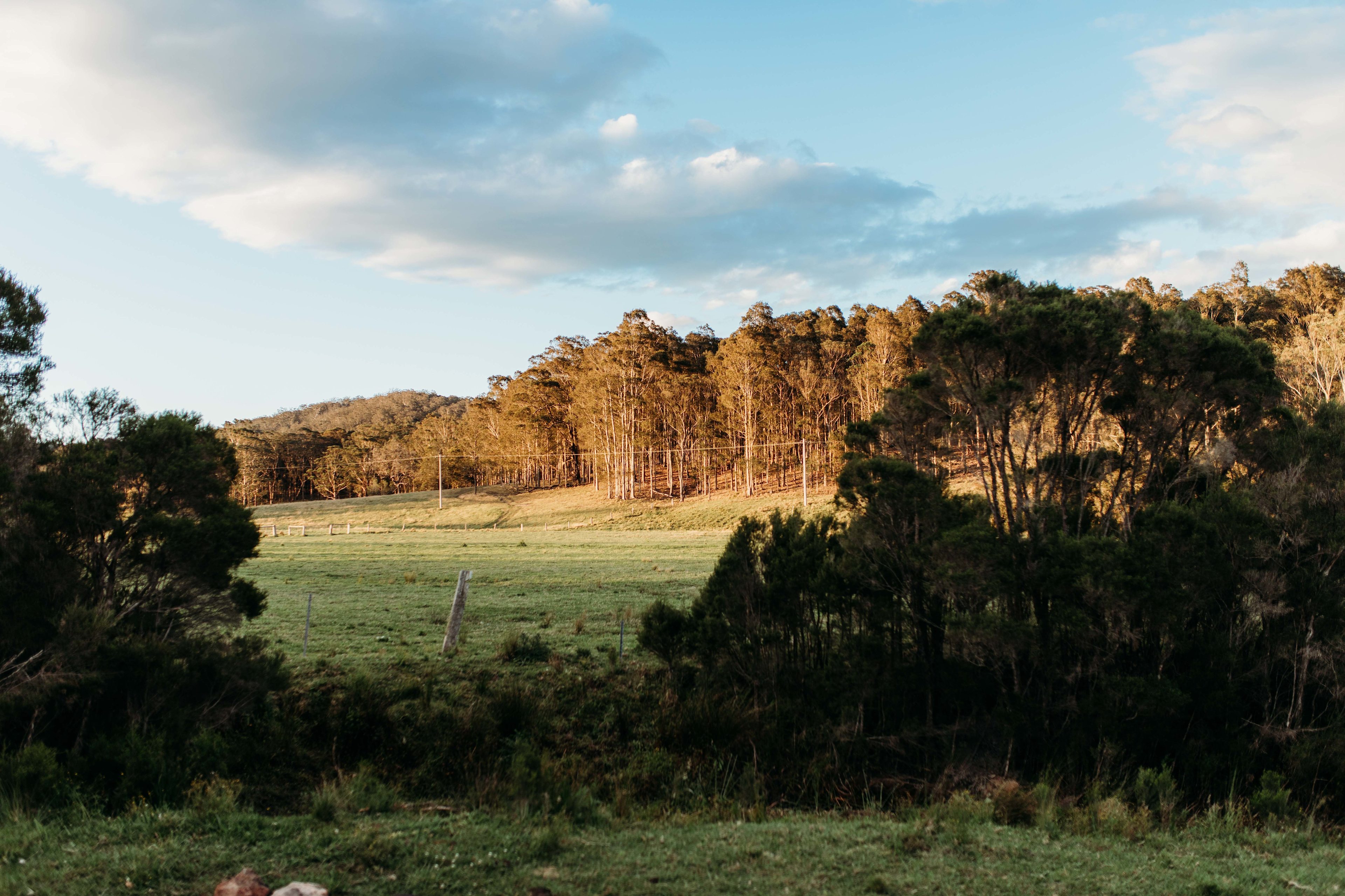 The Wandy Donkey Camp
