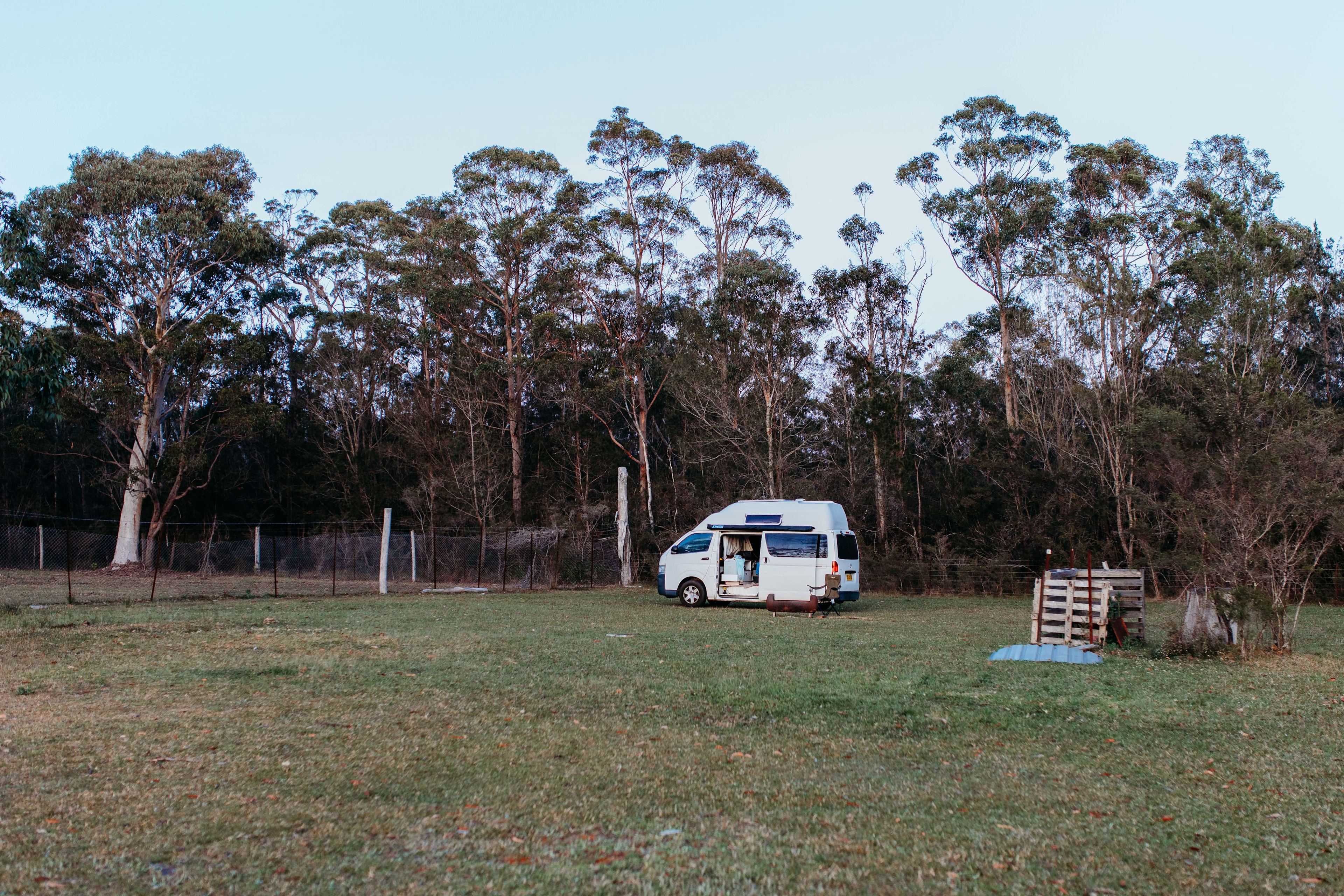 Sussex Horses For Healing