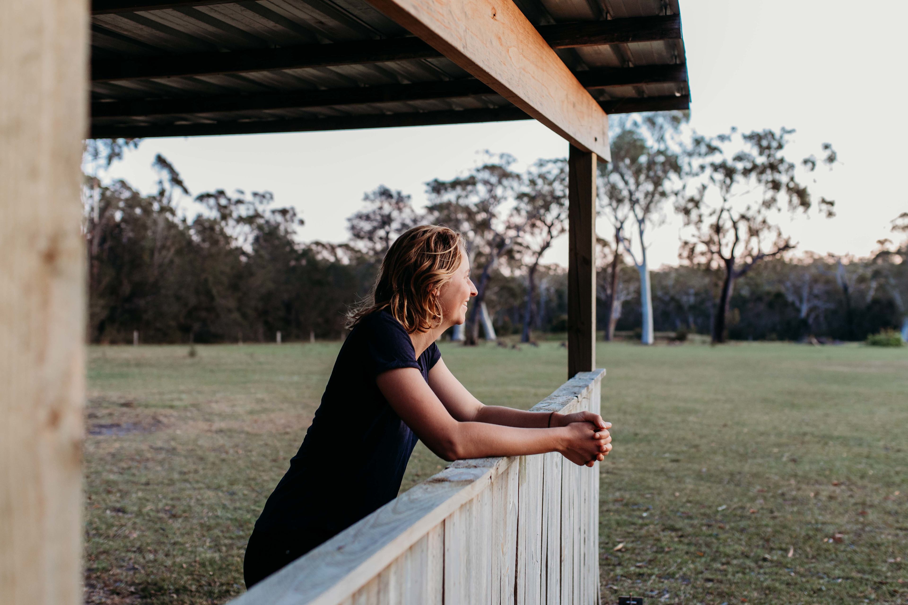 Sussex Horses For Healing