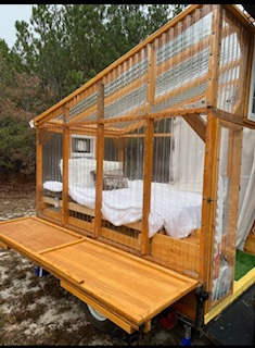 Cozy canopy in the woods