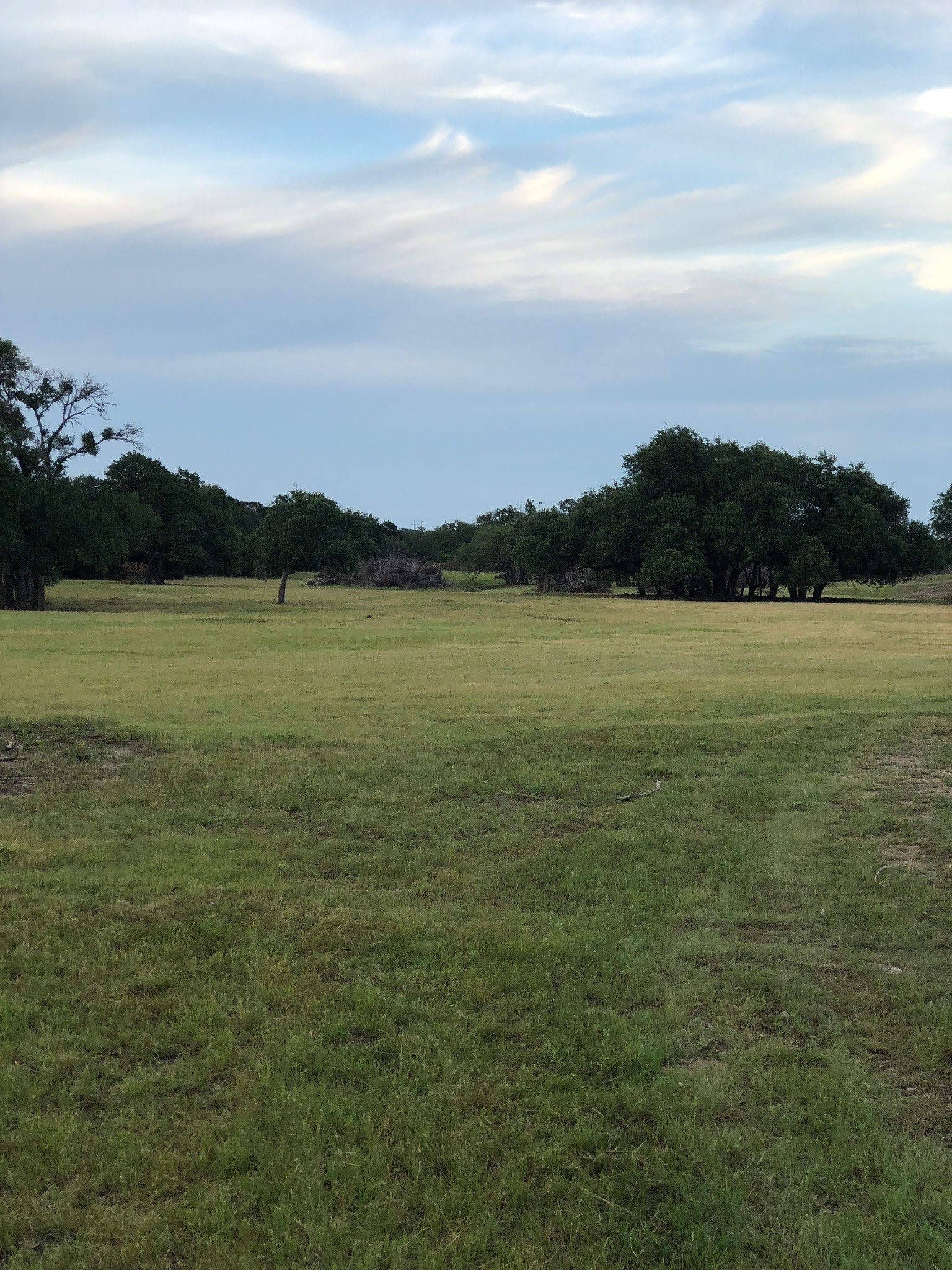 Family Land at Traditions