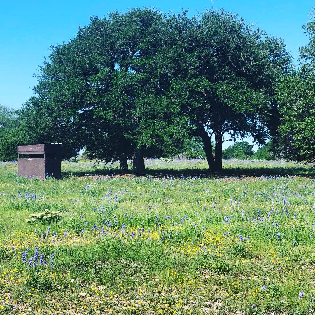 Family Land at Traditions