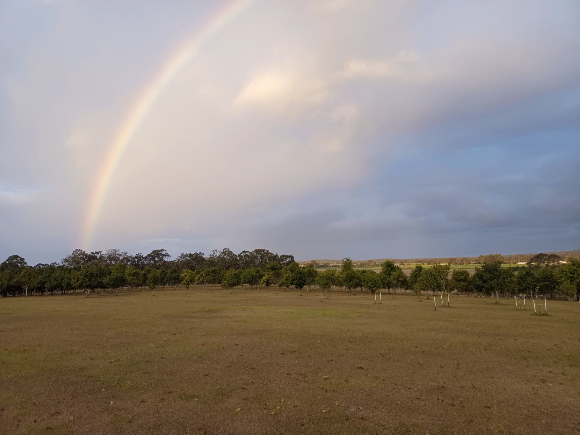 Cambridge Park Macca's