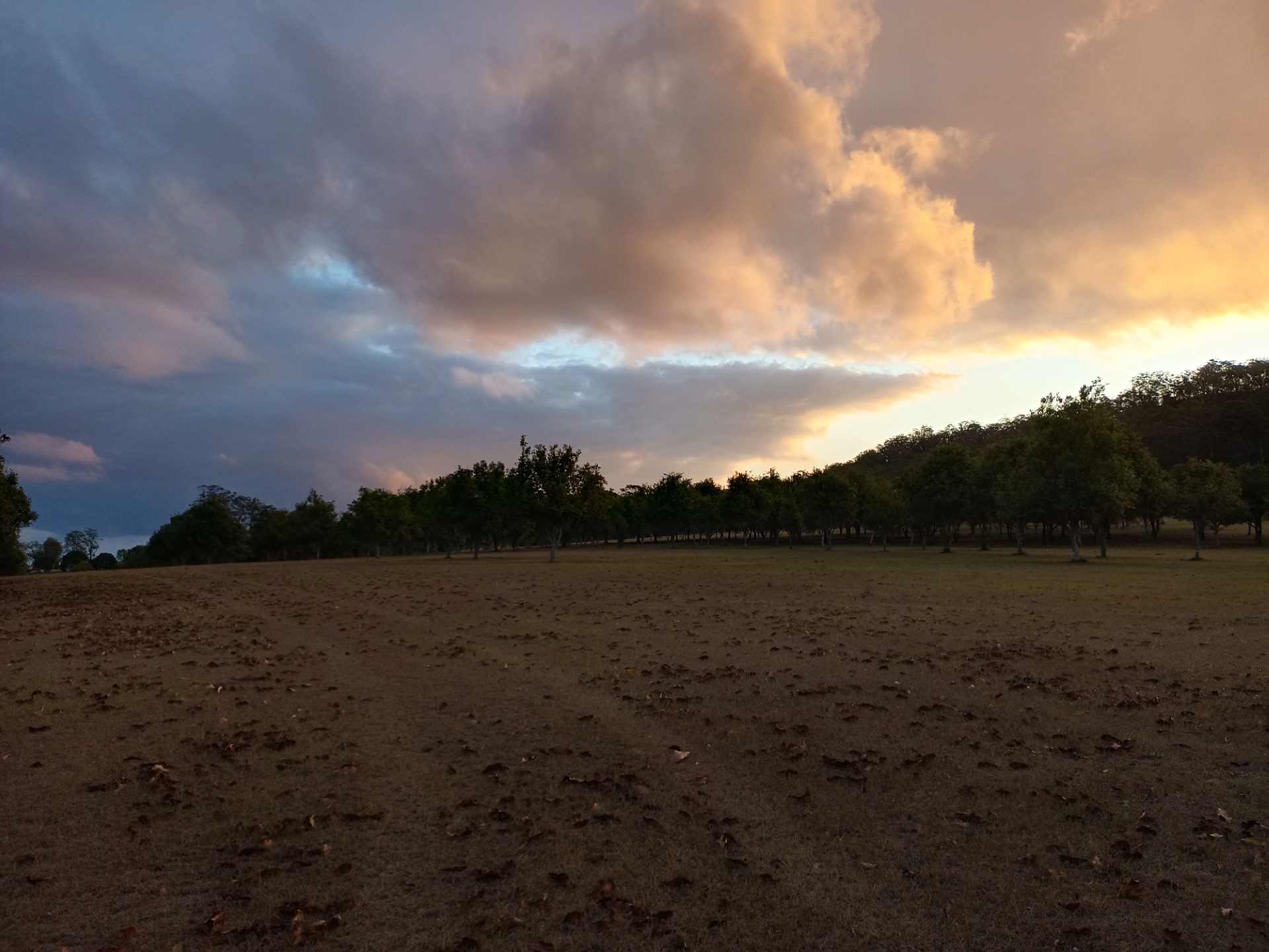 Cambridge Park Macca's