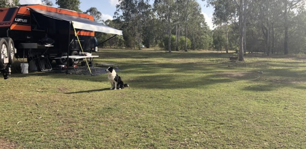 Dog Corner - a lovely site with or without your dog